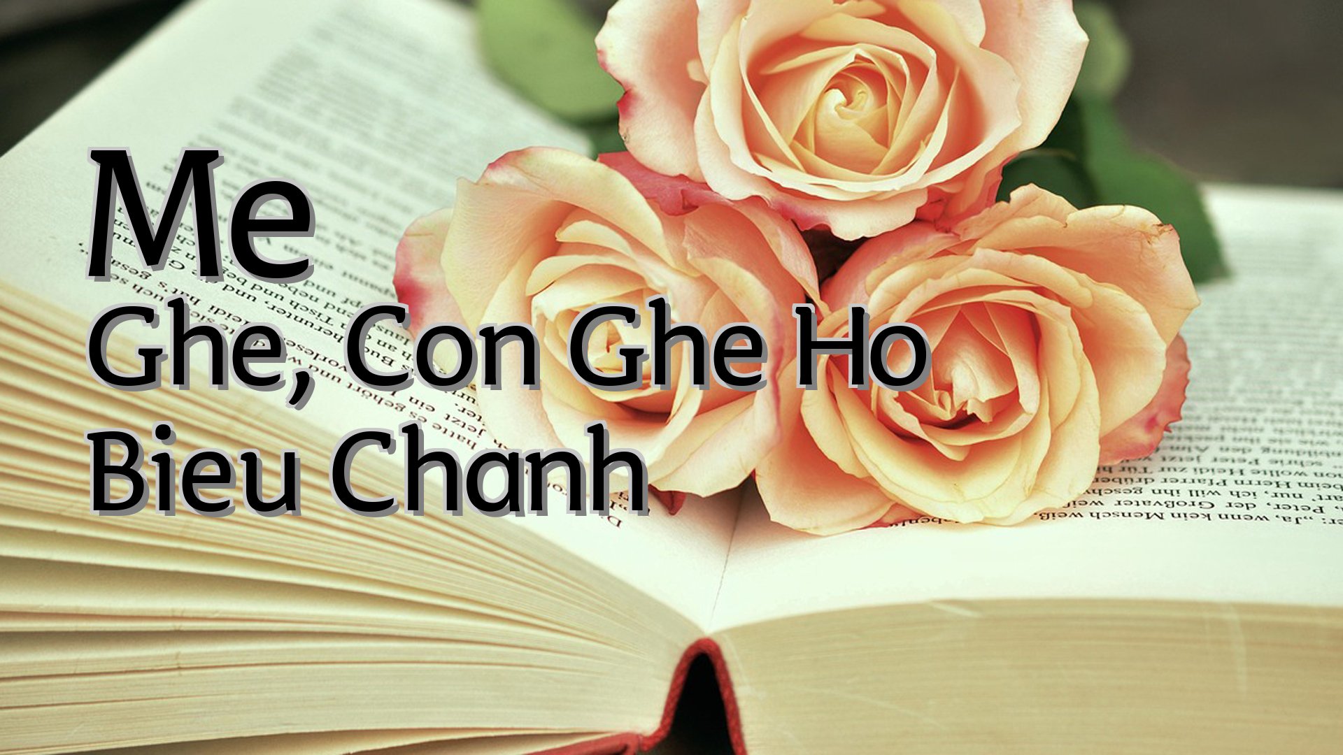 cover-Me Ghe, Con Ghe Ho Bieu Chanh