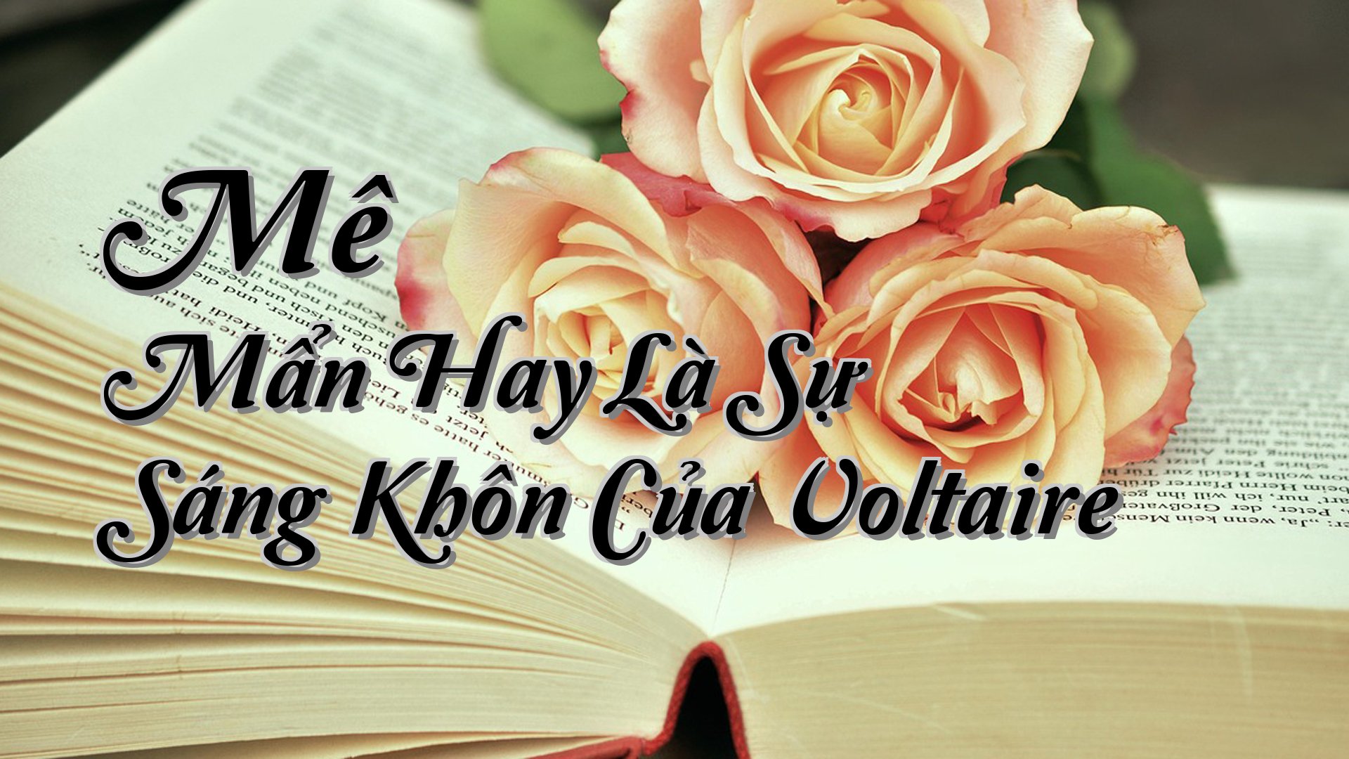 cover-Mê Mẩn Hay Là Sự Sáng Khôn Của Voltaire