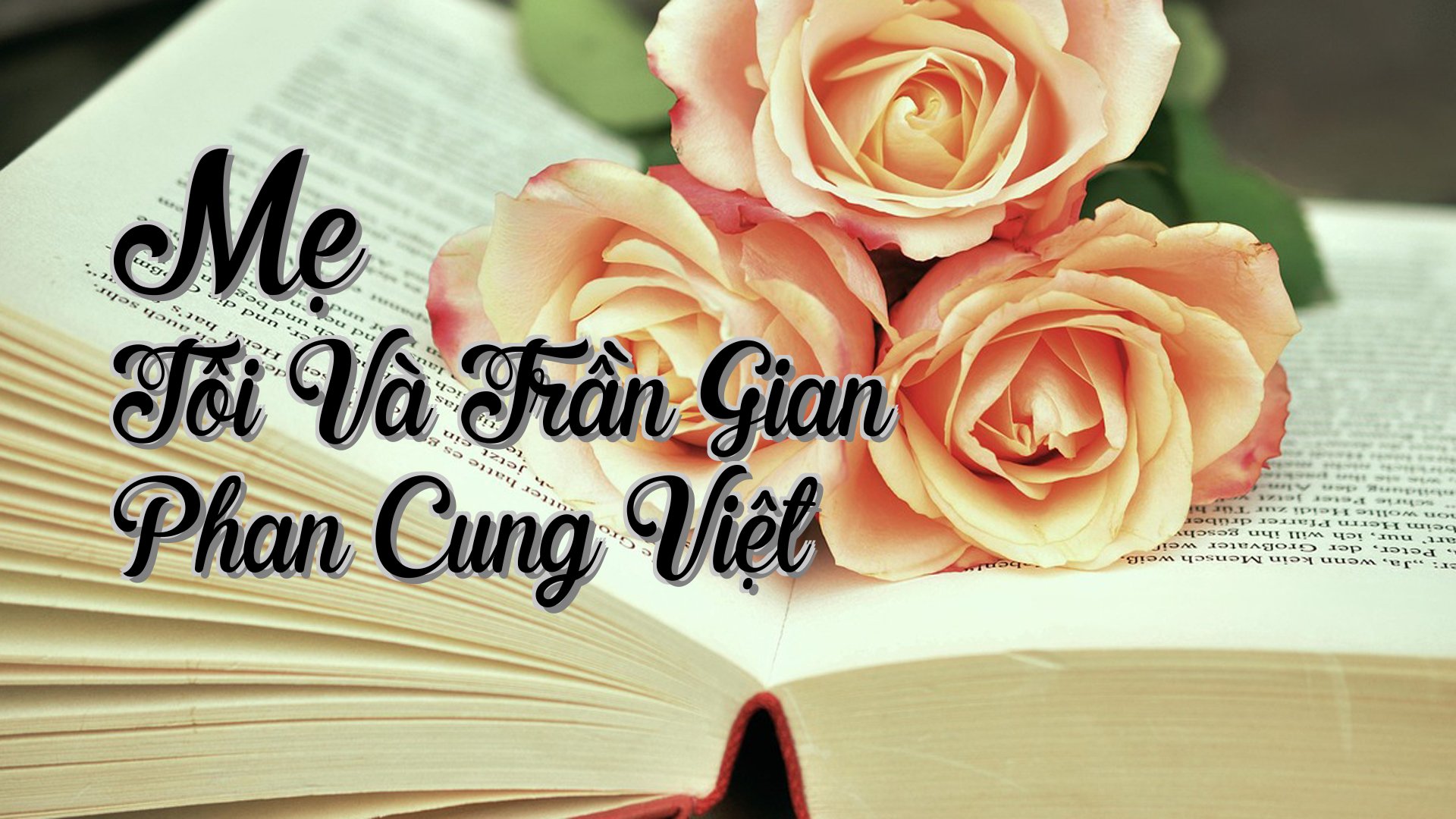 cover-Mẹ Tôi Và Trần Gian Phan Cung Việt