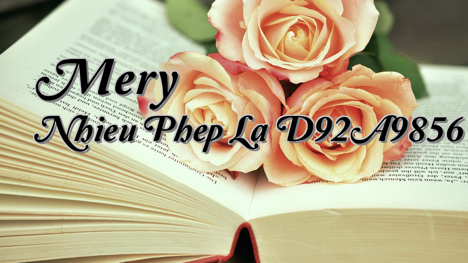 Cover image for Mery Nhieu Phep La D92A9856