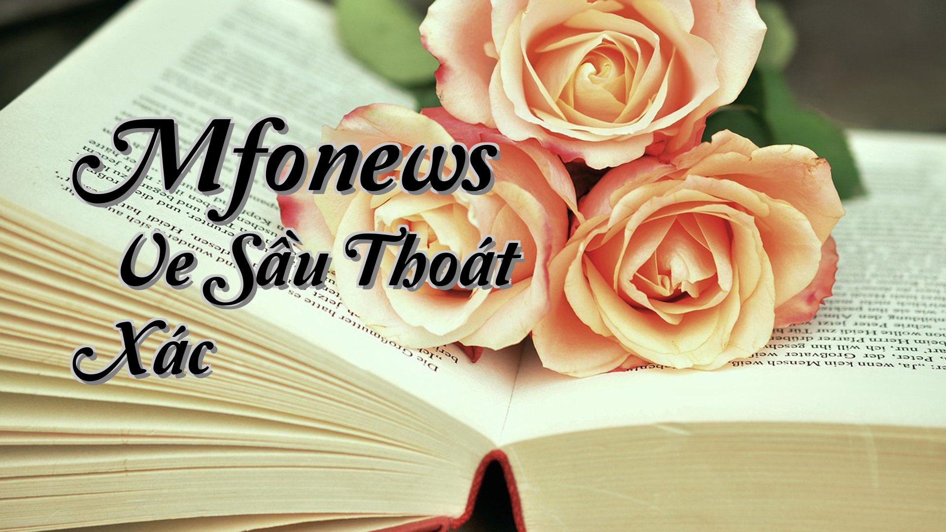 cover-Mfonews » Ve Sầu Thoát Xác