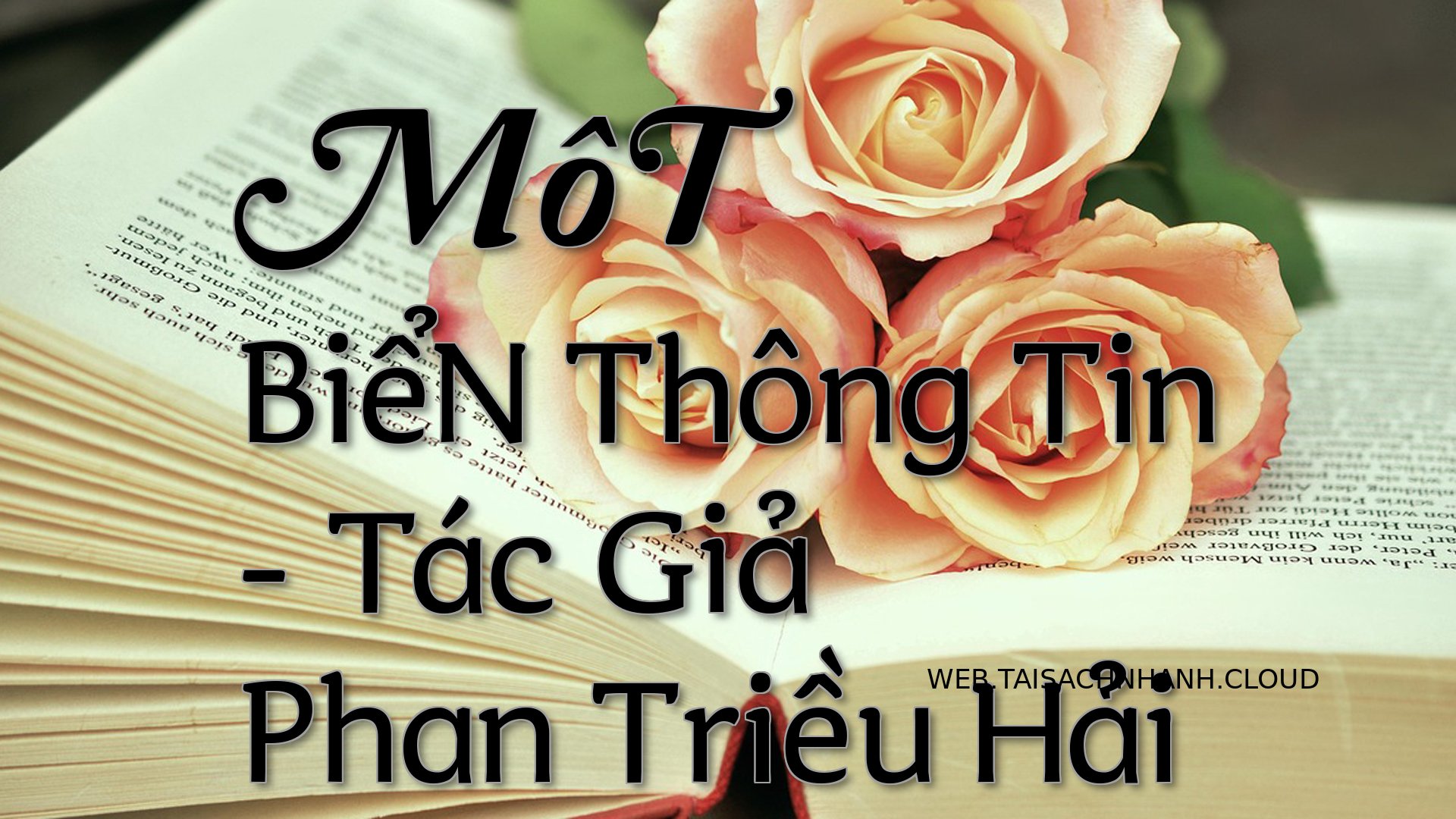 Cover MoT BieN Thong Tin.jpg