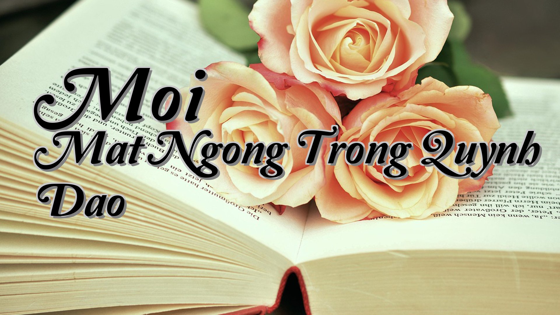 cover-Moi Mat Ngong Trong Quynh Dao