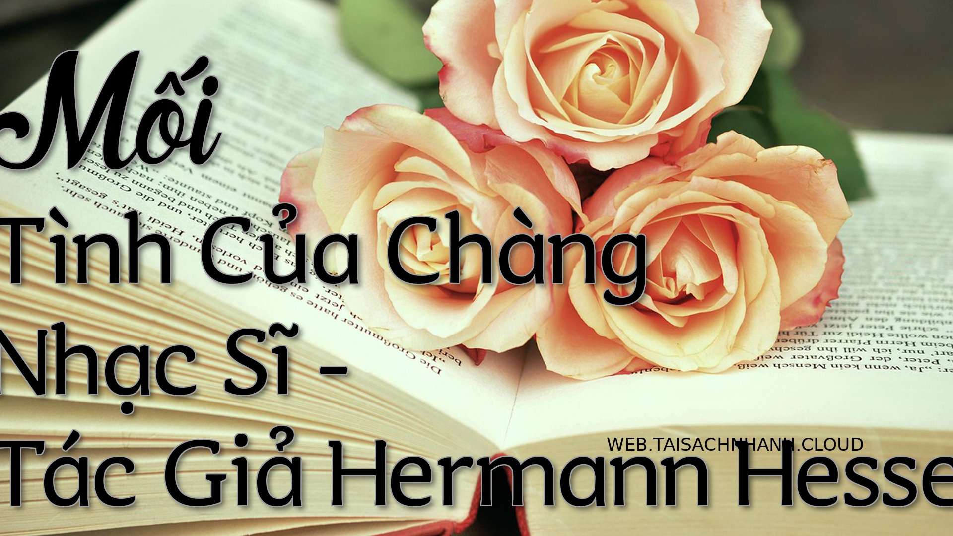 Cover Moi Tinh Cua Chang N.jpg