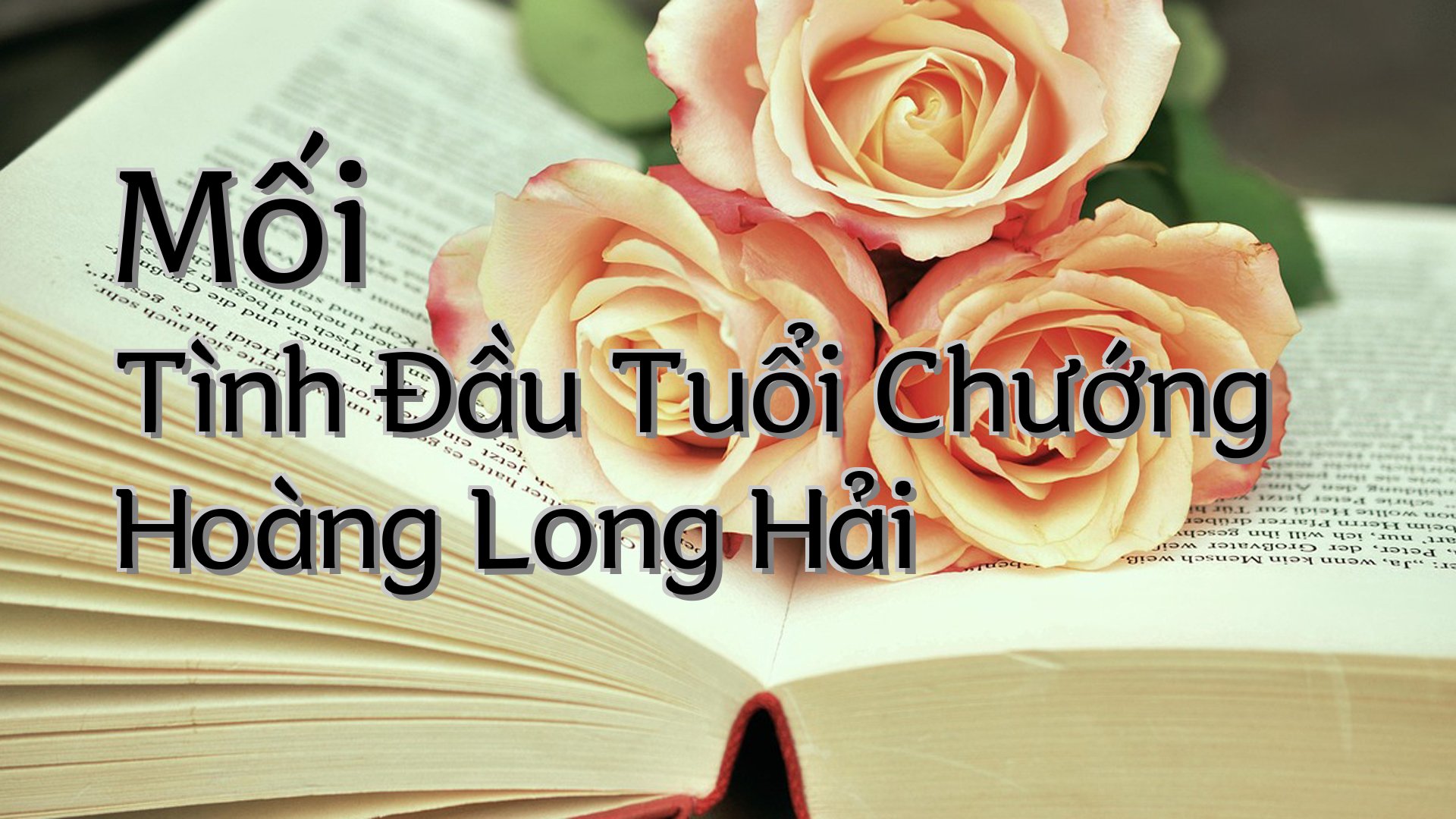cover-Mối Tình Đầu Tuổi Chướng Hoàng Long Hải