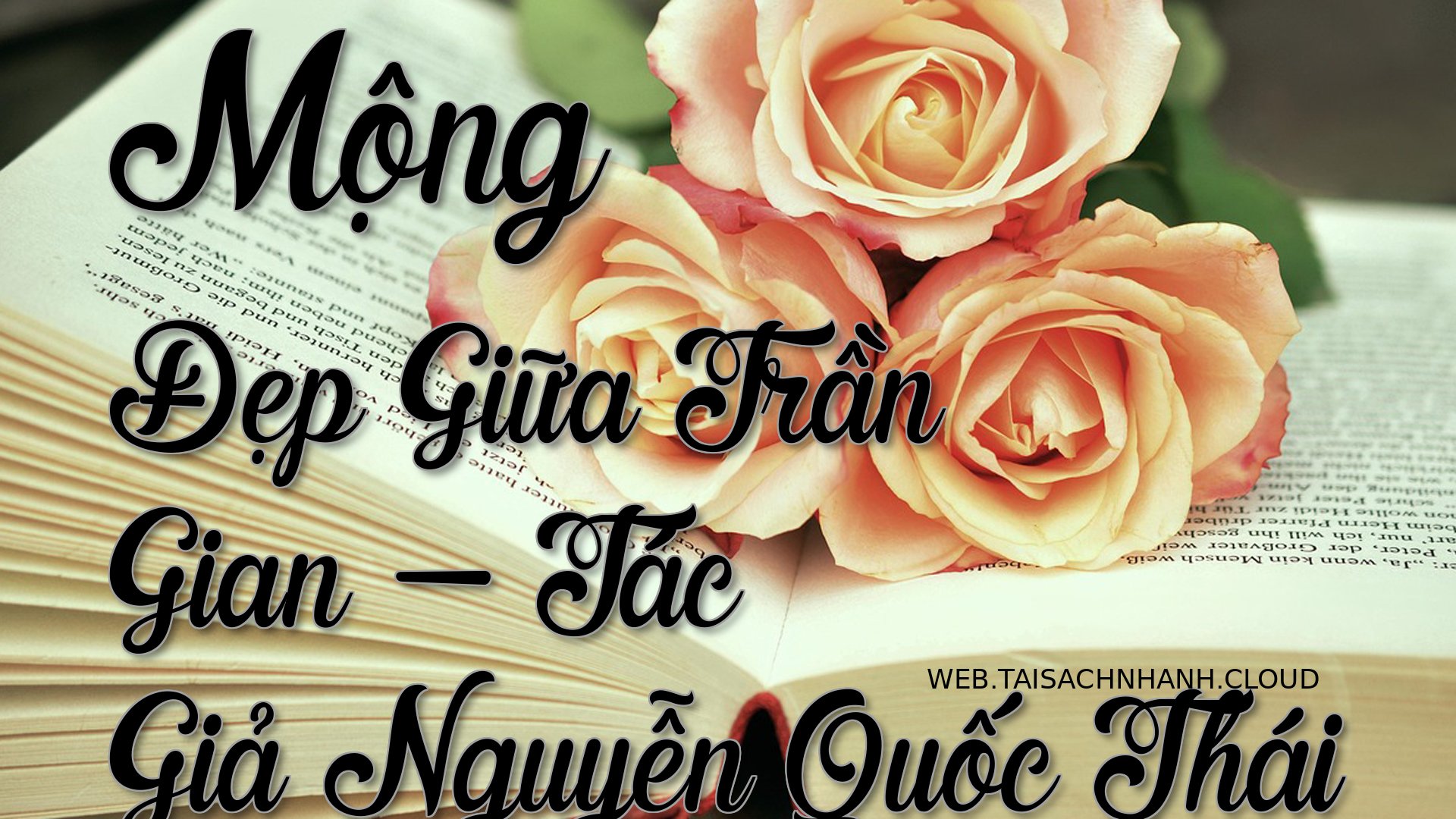 Cover Mong Dep Giua Tran G.jpg