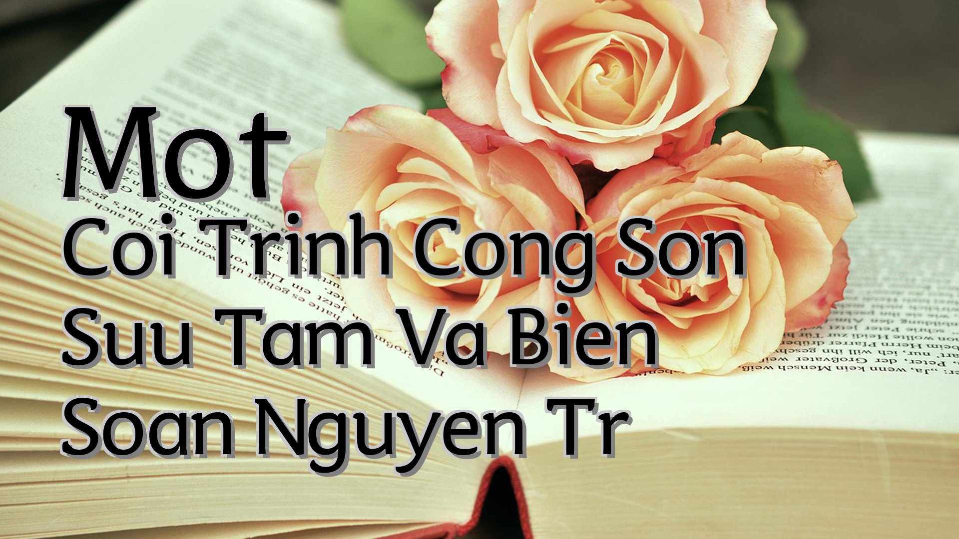 cover-Mot Coi Trinh Cong Son Suu Tam Va Bien Soan Nguyen Tr