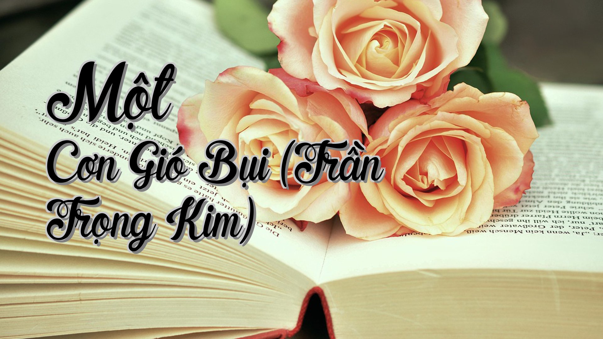 cover-Một Cơn Gió Bụi (Trần Trọng Kim)