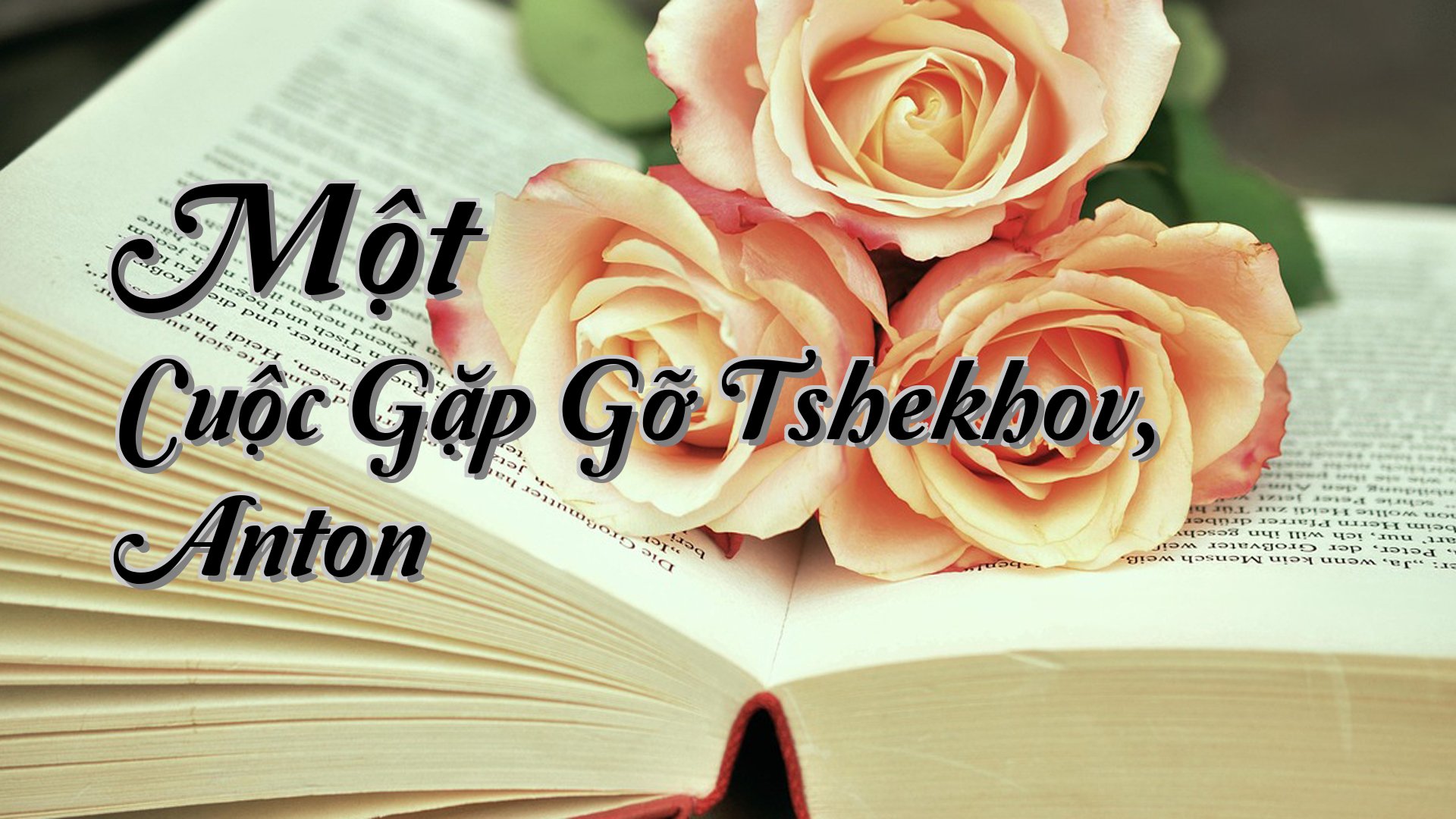 cover-Một Cuộc Gặp Gỡ Tshekhov, Anton