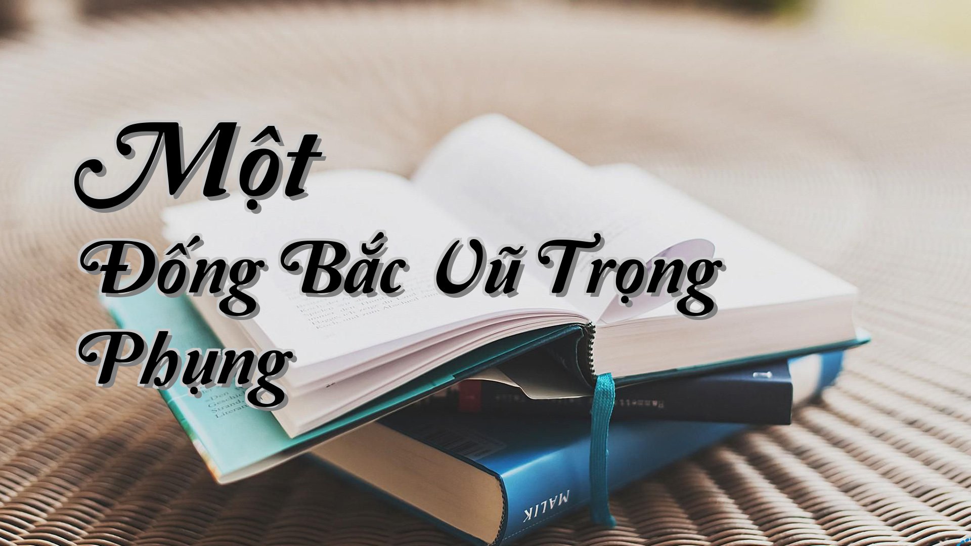 cover-Một Đống Bắc Vũ Trọng Phụng