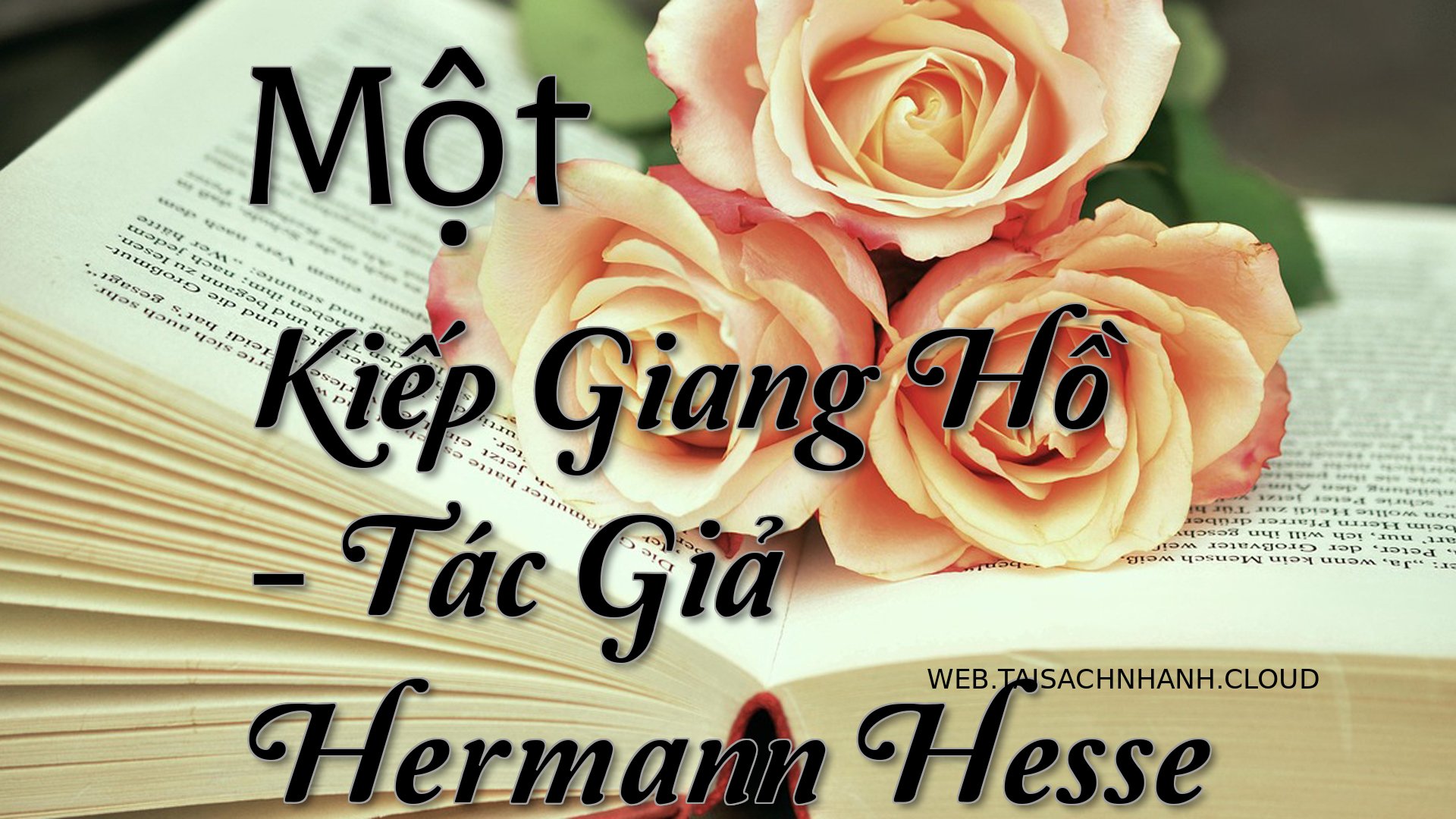 Cover Mot Kiep Giang Ho.jpg