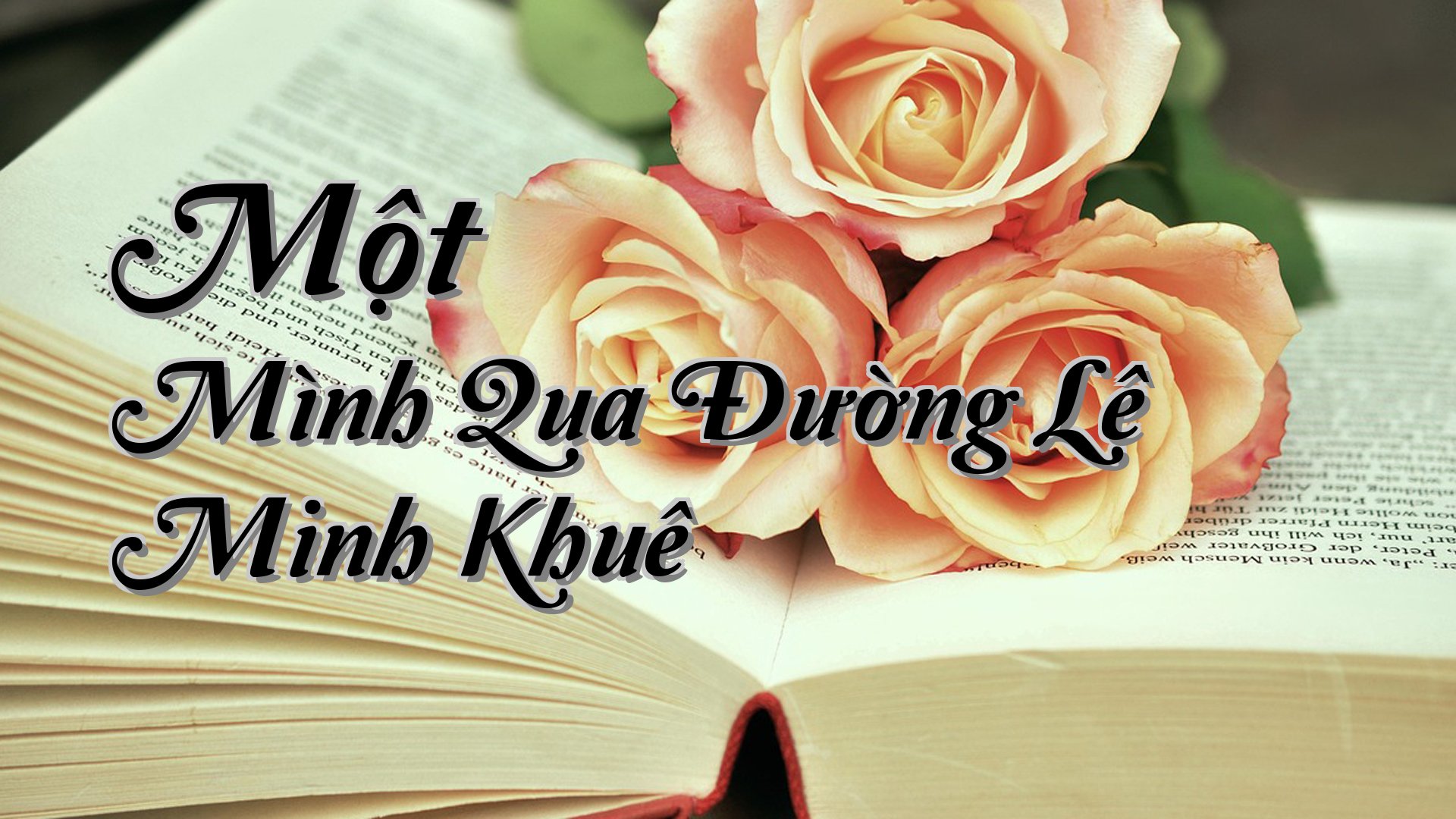cover-Một Mình Qua Đường Lê Minh Khuê