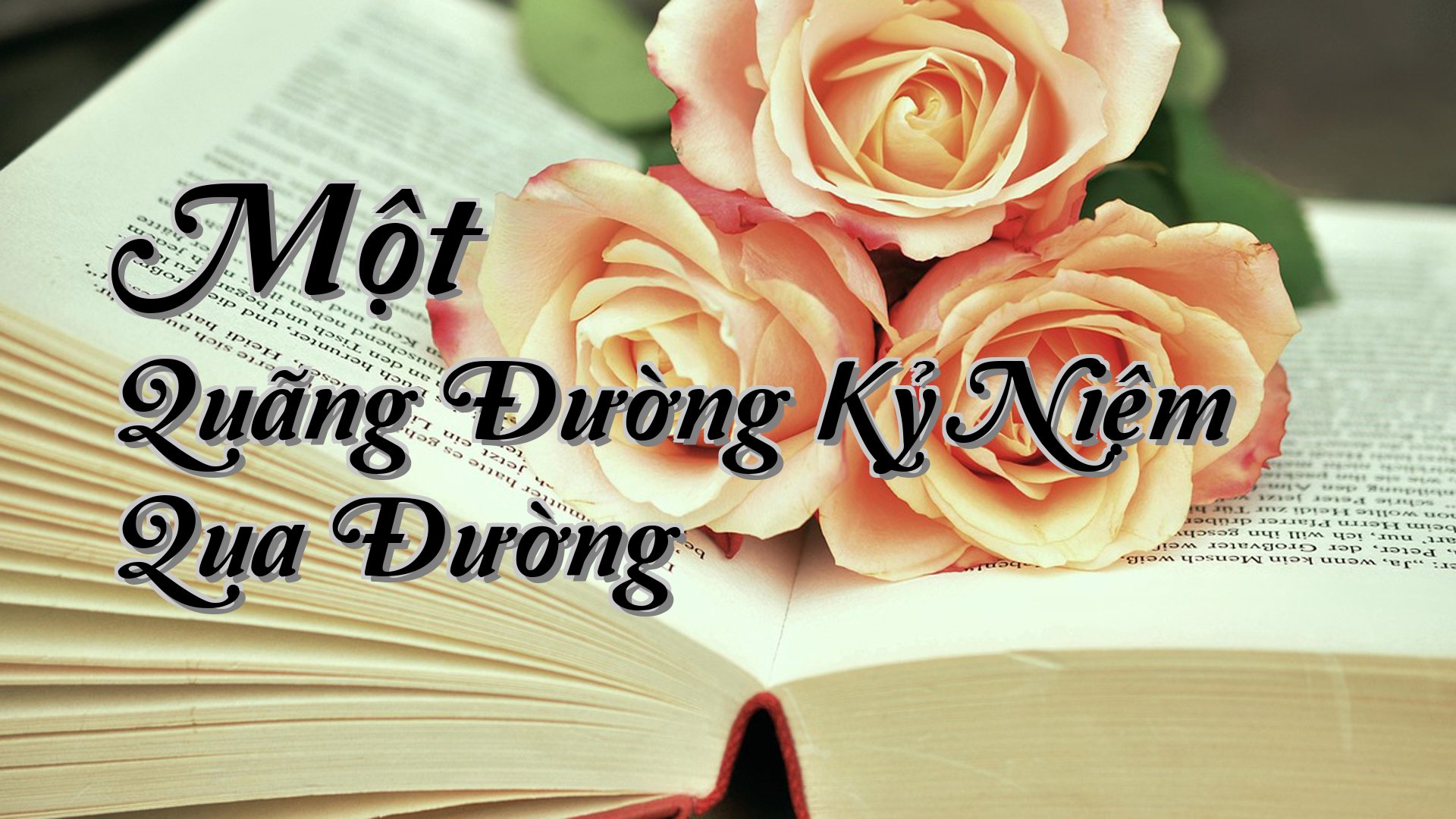 cover-Một Quãng Đường Kỷ Niệm Qua Đường