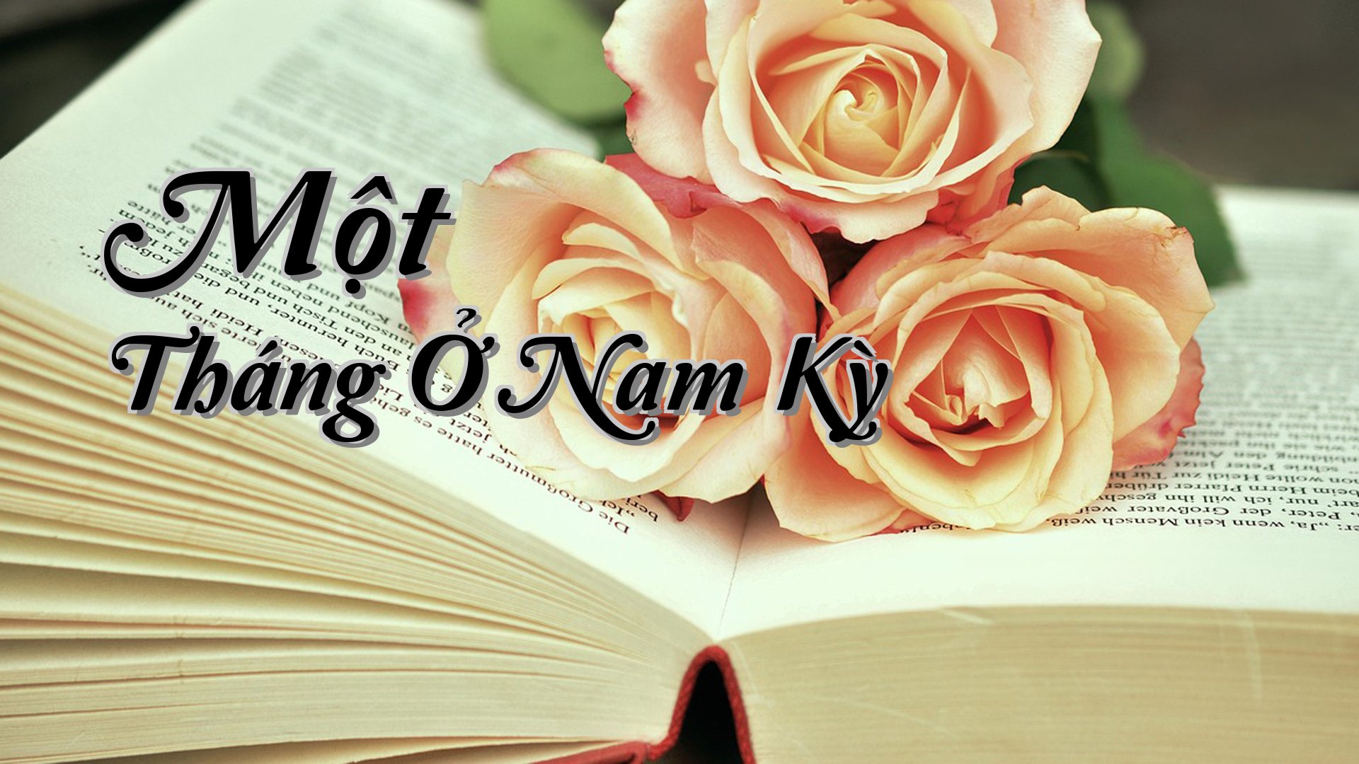 cover-Một Tháng Ở Nam Kỳ