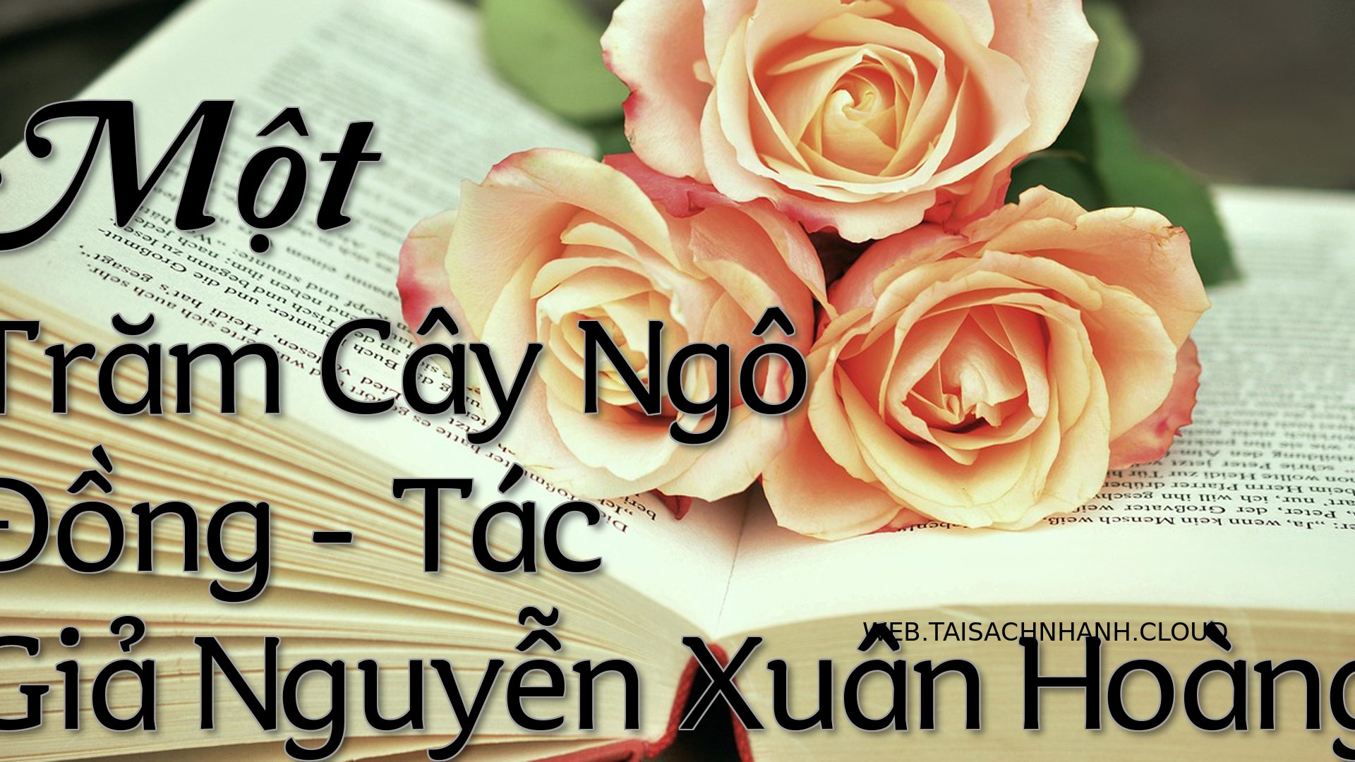 Cover Mot Tram Cay Ngo Don.jpg