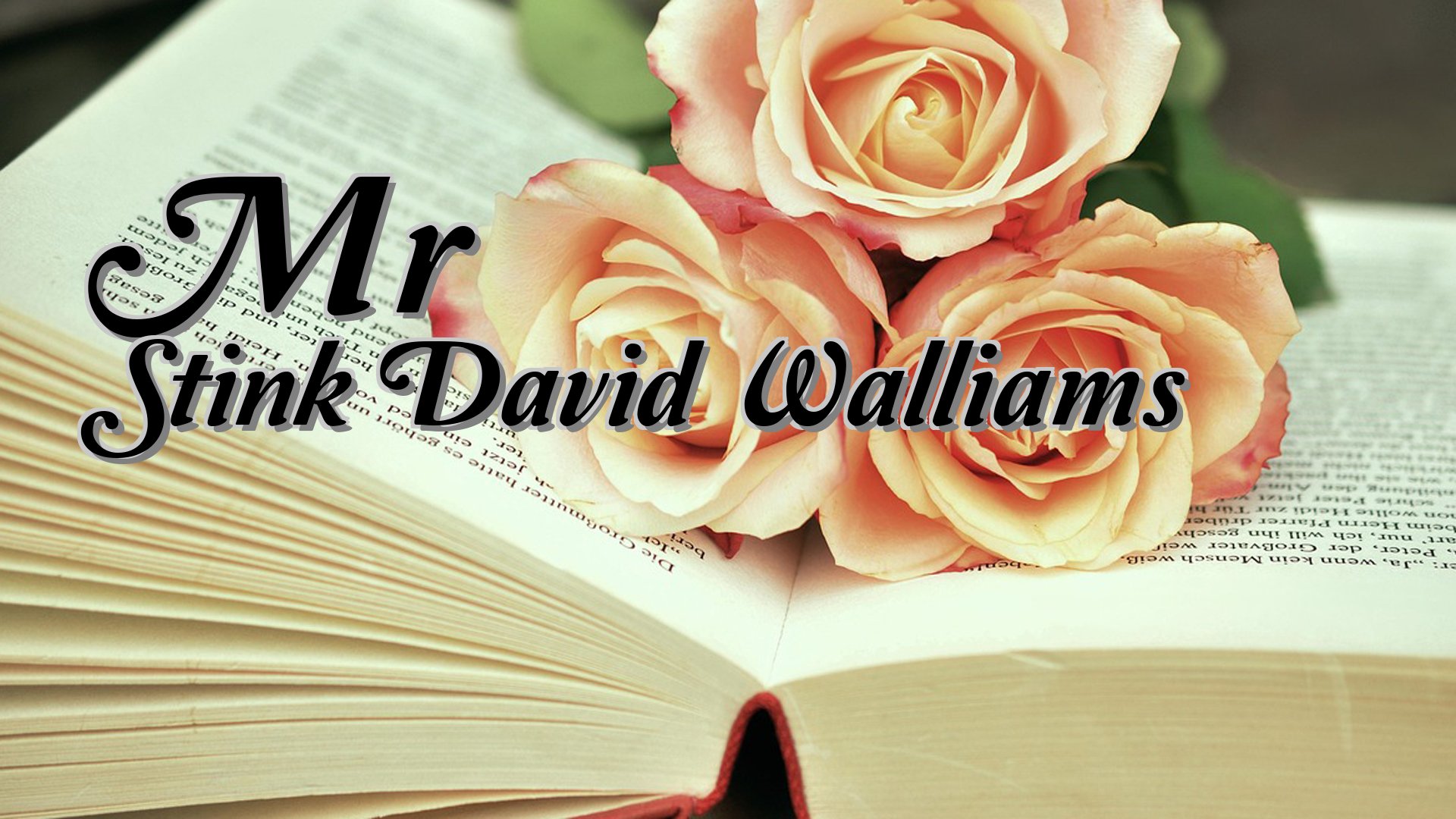 cover-Mr Stink David Walliams