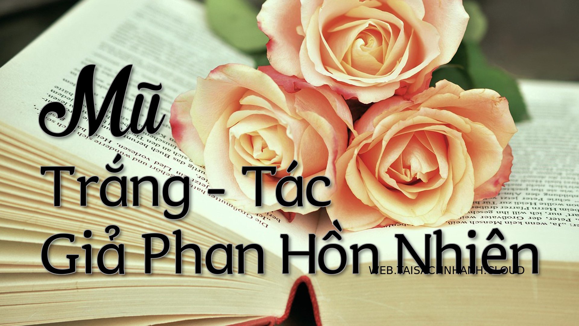 Cover Mu Trang.jpg