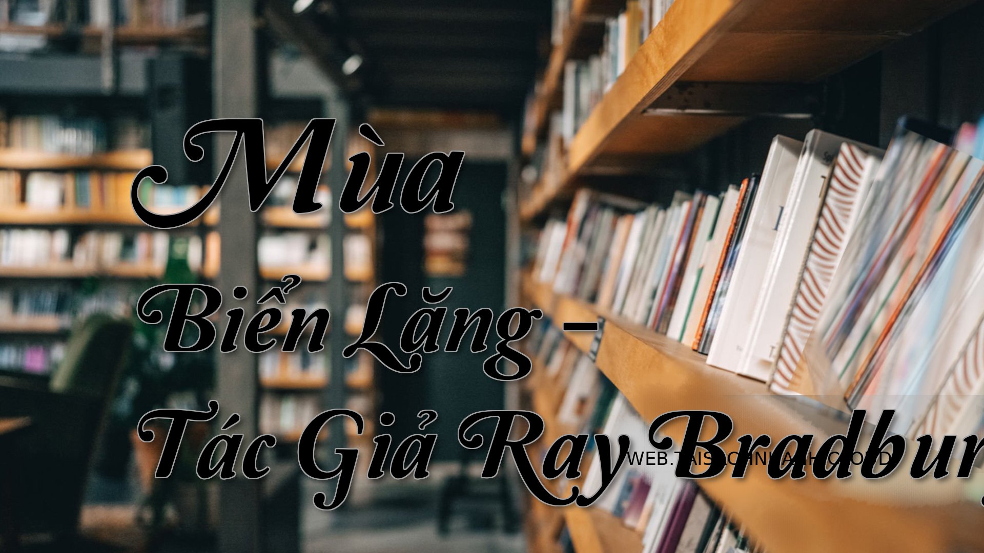 Cover Mua Bien Lang.jpg