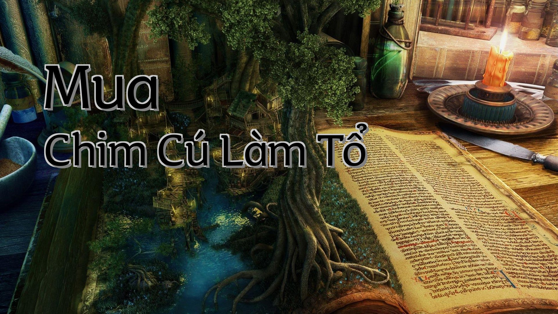 cover-Mua Chim Cú Làm Tổ