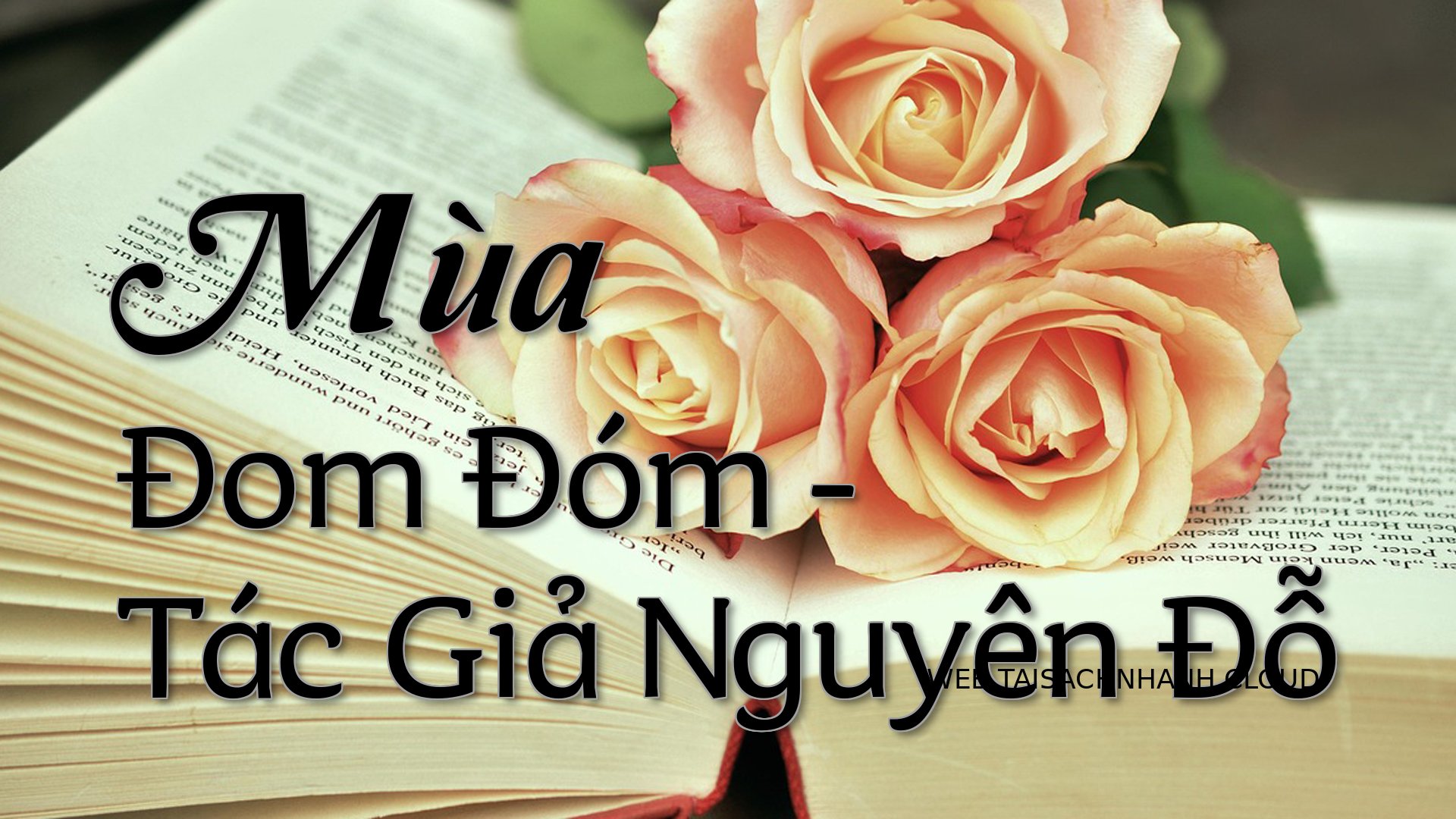 Cover Mua Dom Dom.jpg