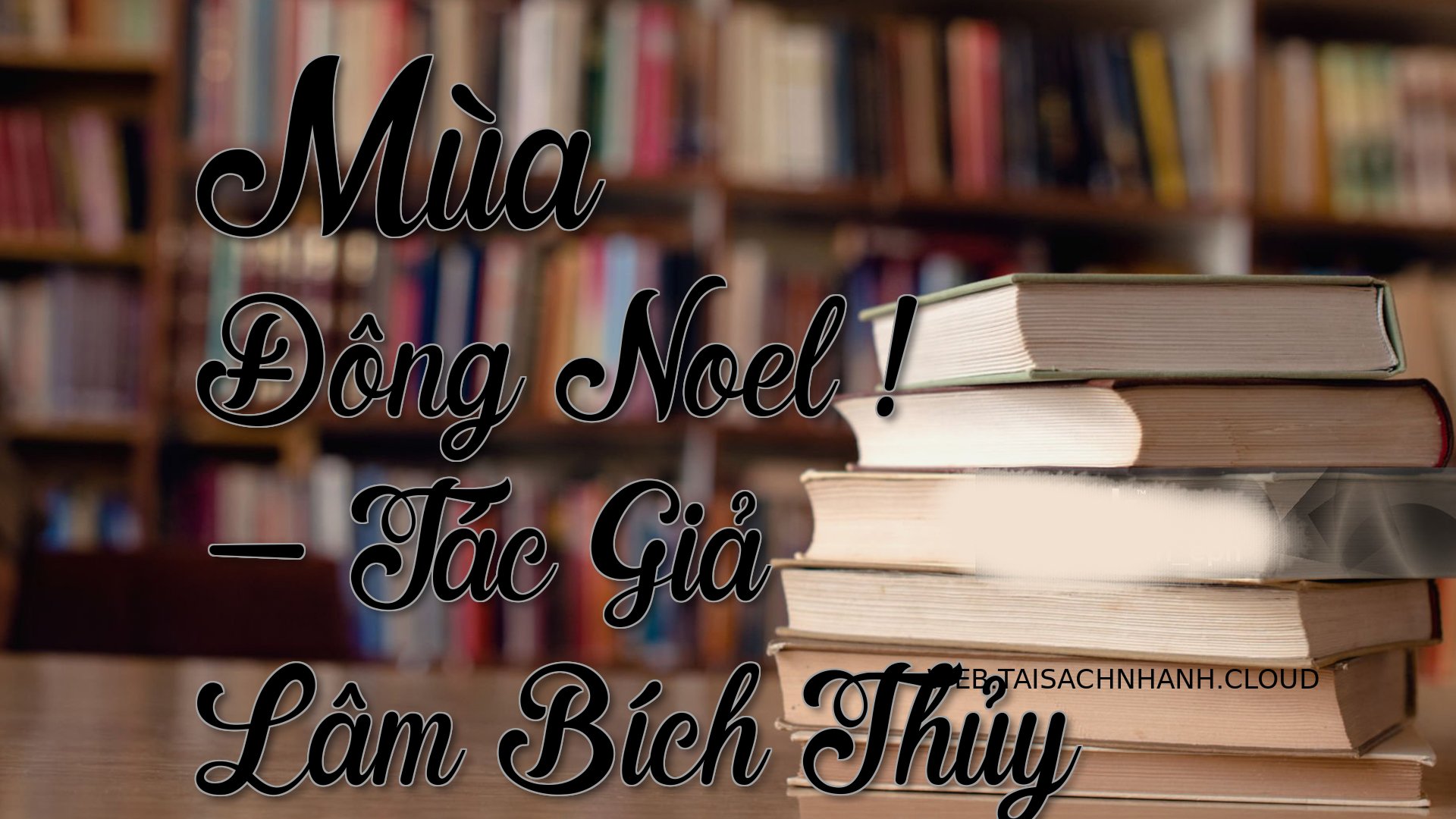 Cover Mua Dong Noel .jpg