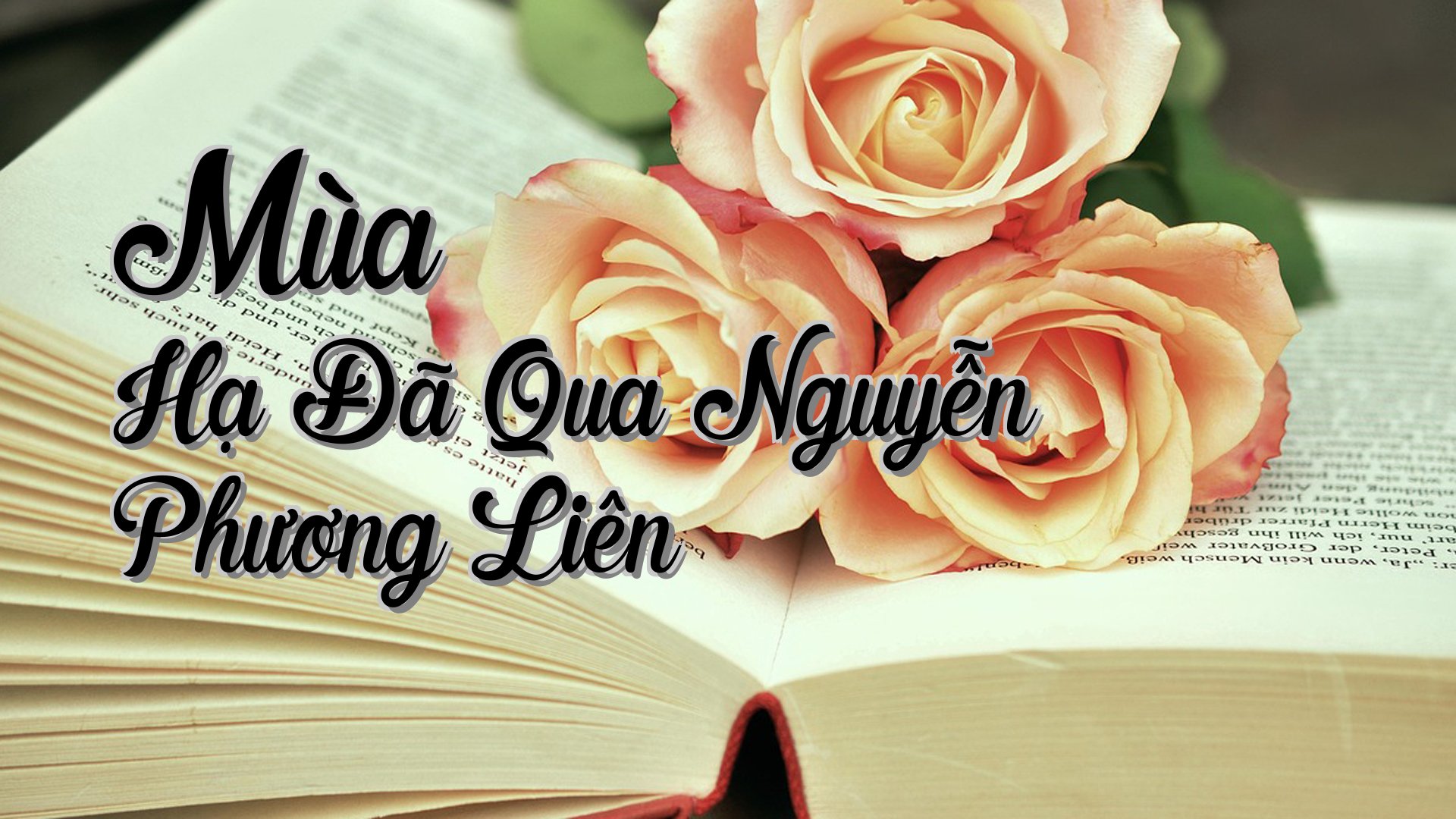 cover-Mùa Hạ Đã Qua Nguyễn Phương Liên