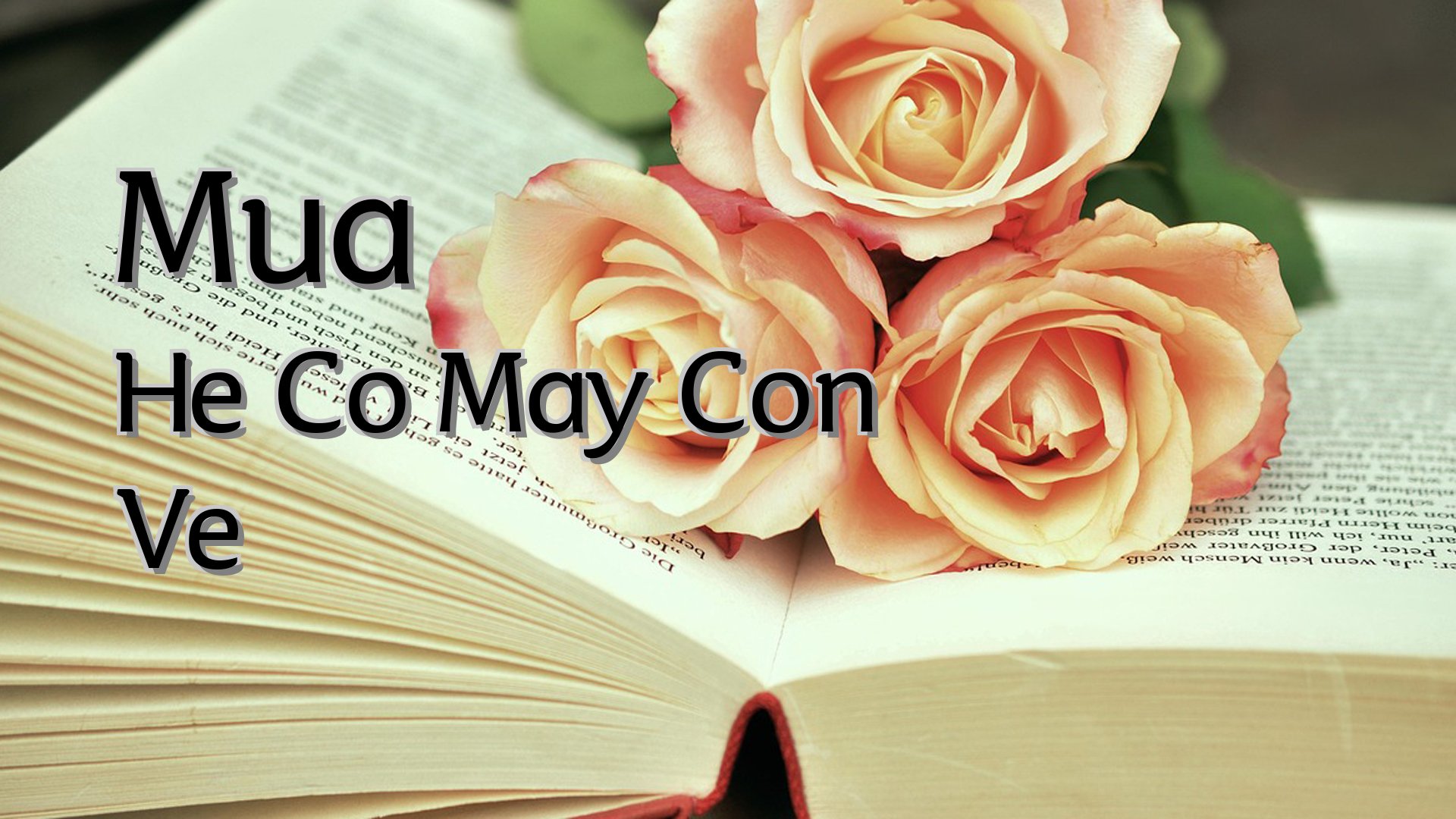 cover-Mua He Co May Con Ve