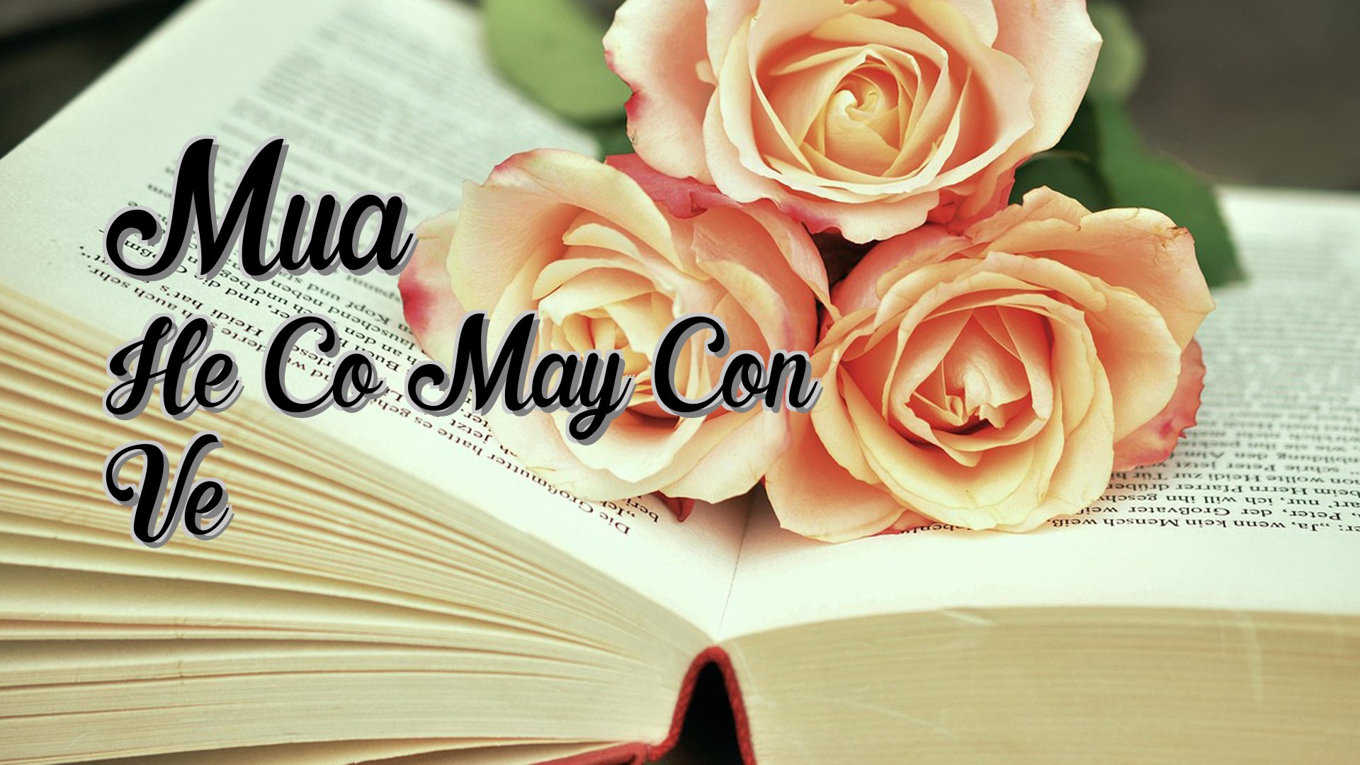 Cover image for Mua He Co May Con Ve