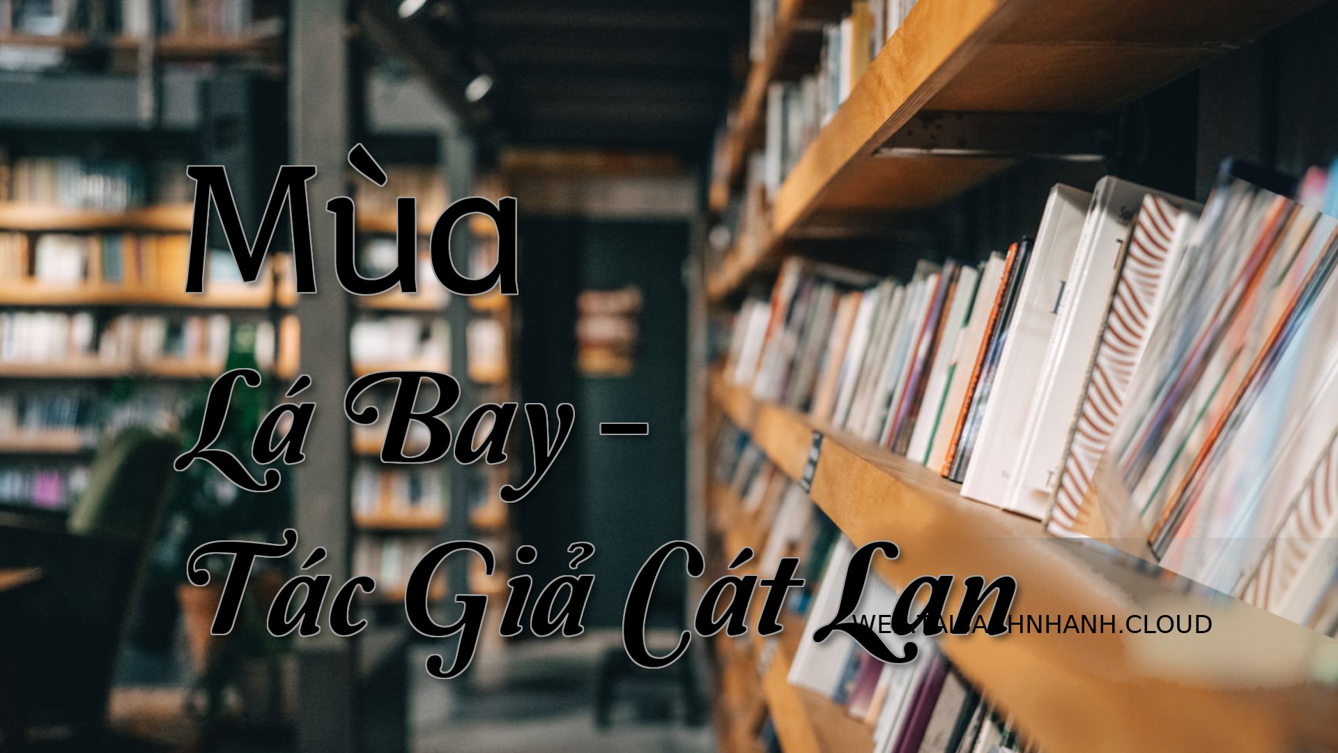 Cover Mua La Bay.jpg