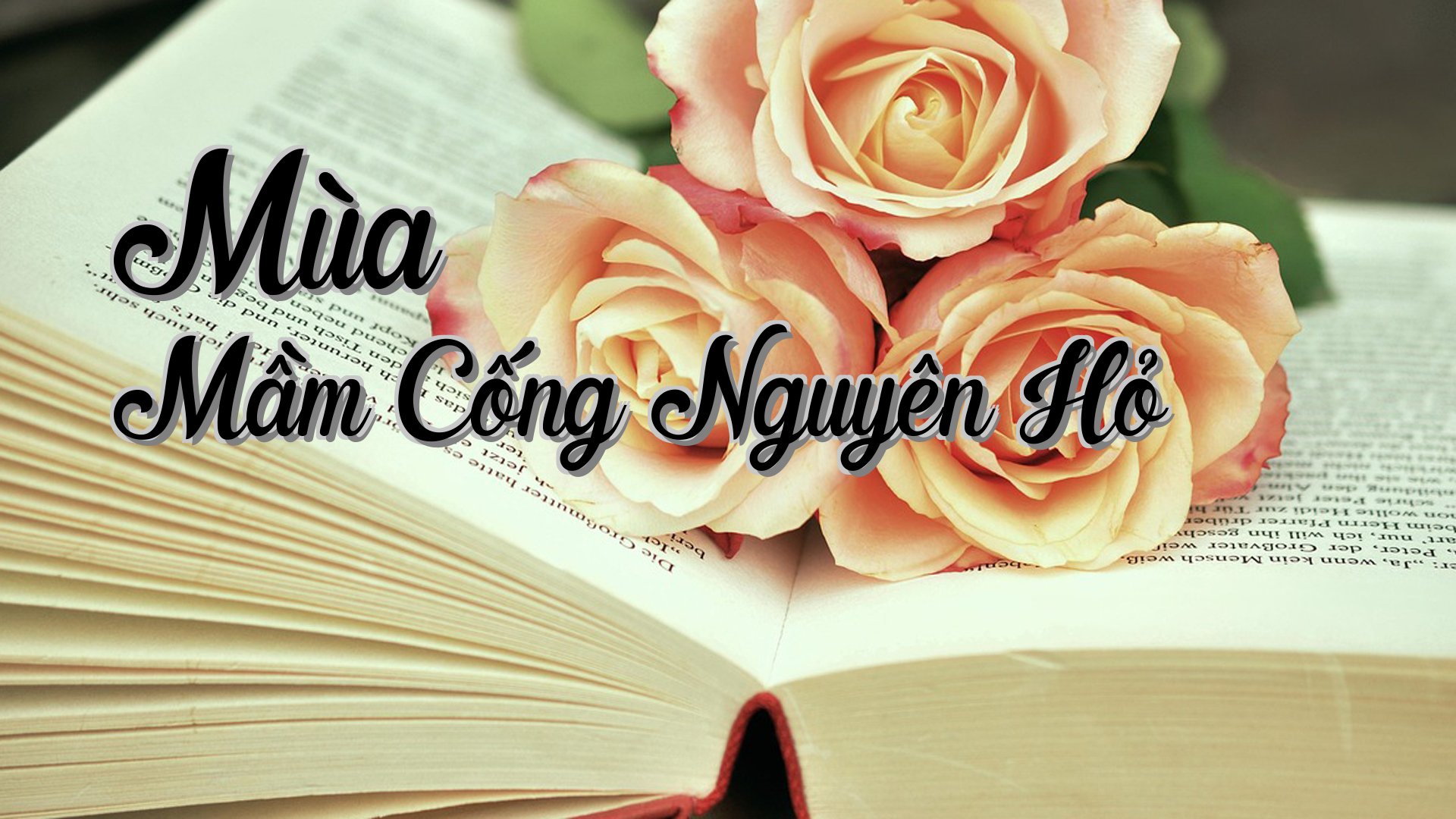 cover-Mùa Mầm Cống Nguyên Hỏ