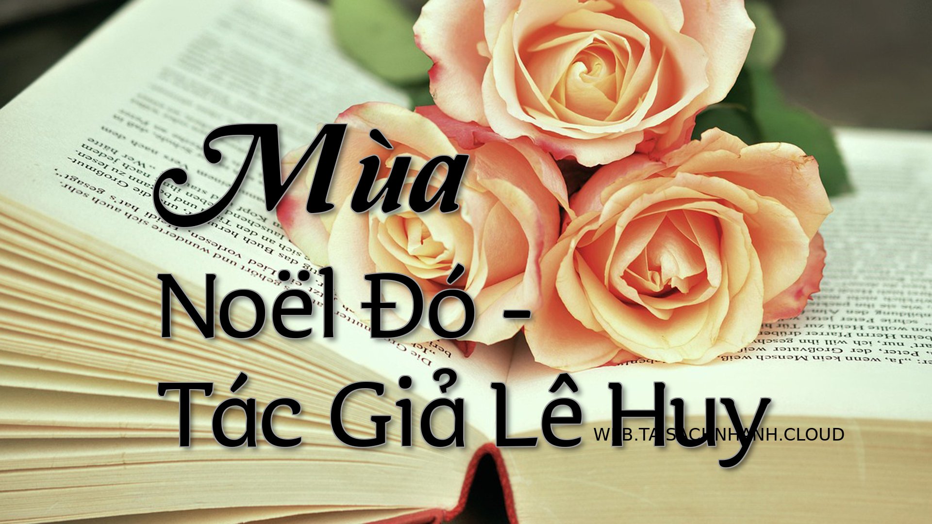 Cover Mua Noel Do.jpg