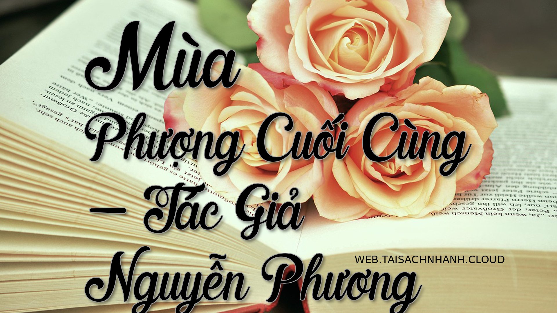 Cover Mua Phuong Cuoi Cung.jpg