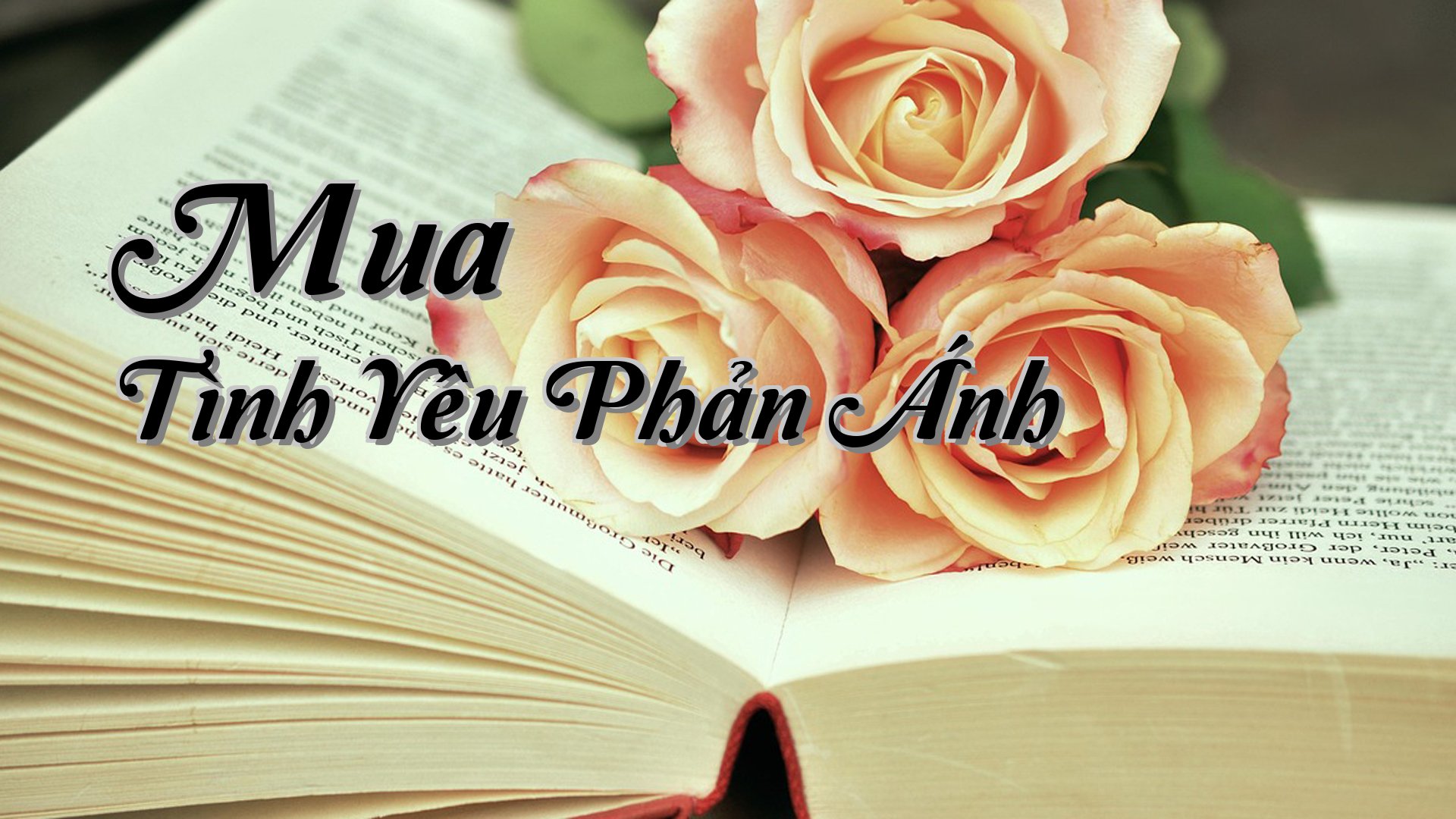 cover-Mua Tình Yêu Phản Ánh