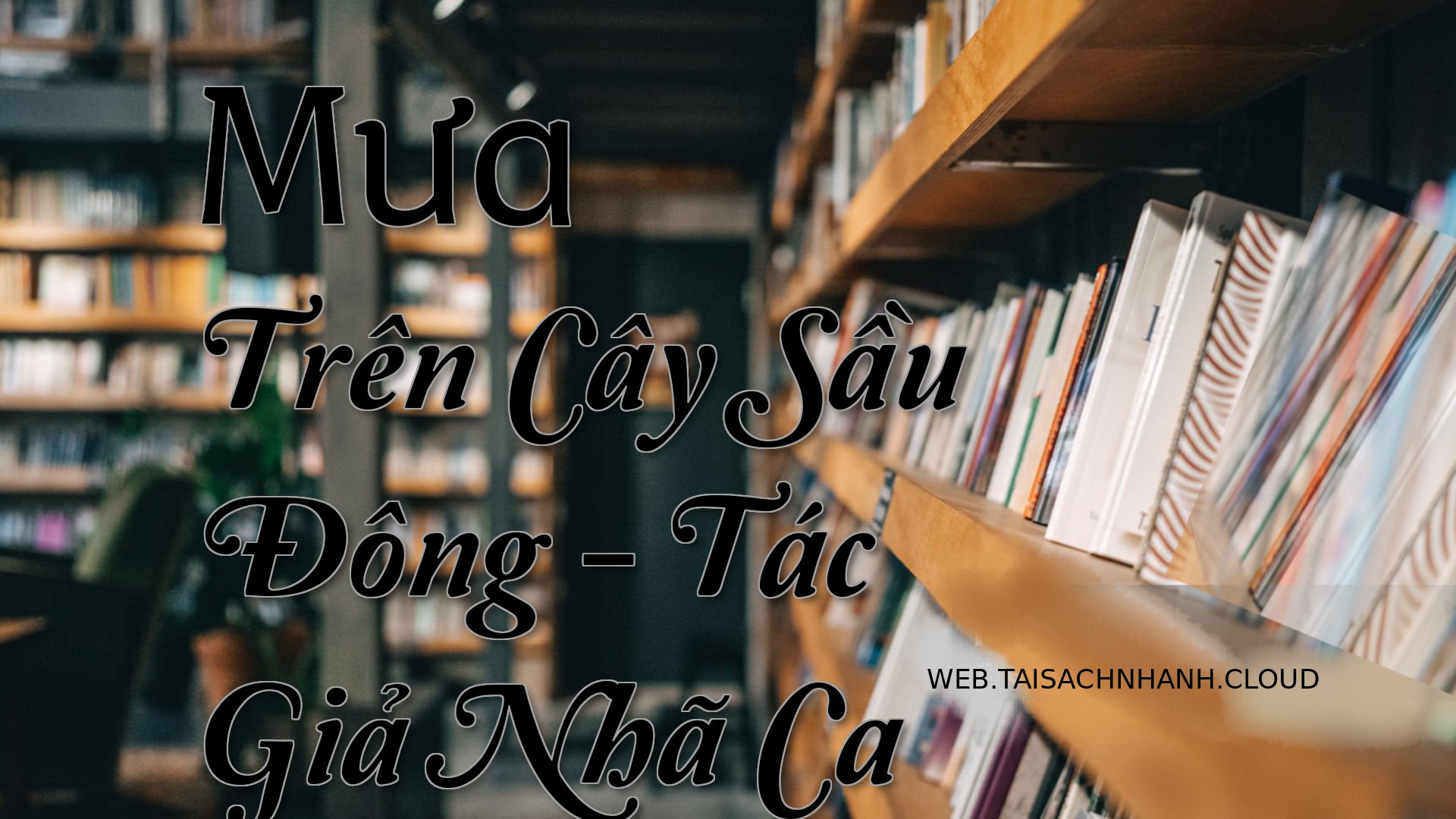Cover Mua Tren Cay Sau Don.jpg