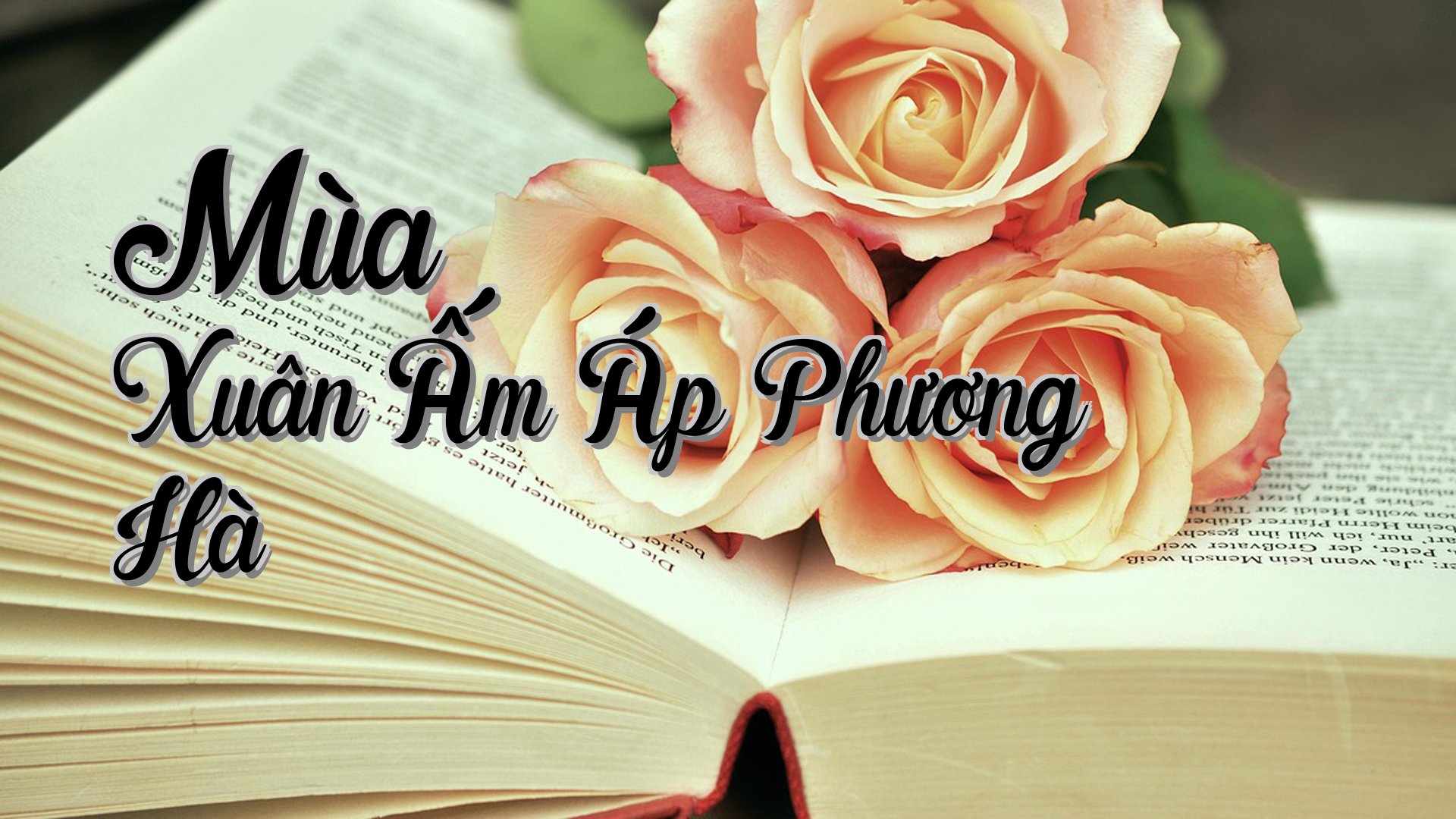 cover-Mùa Xuân Ấm Áp Phương Hà