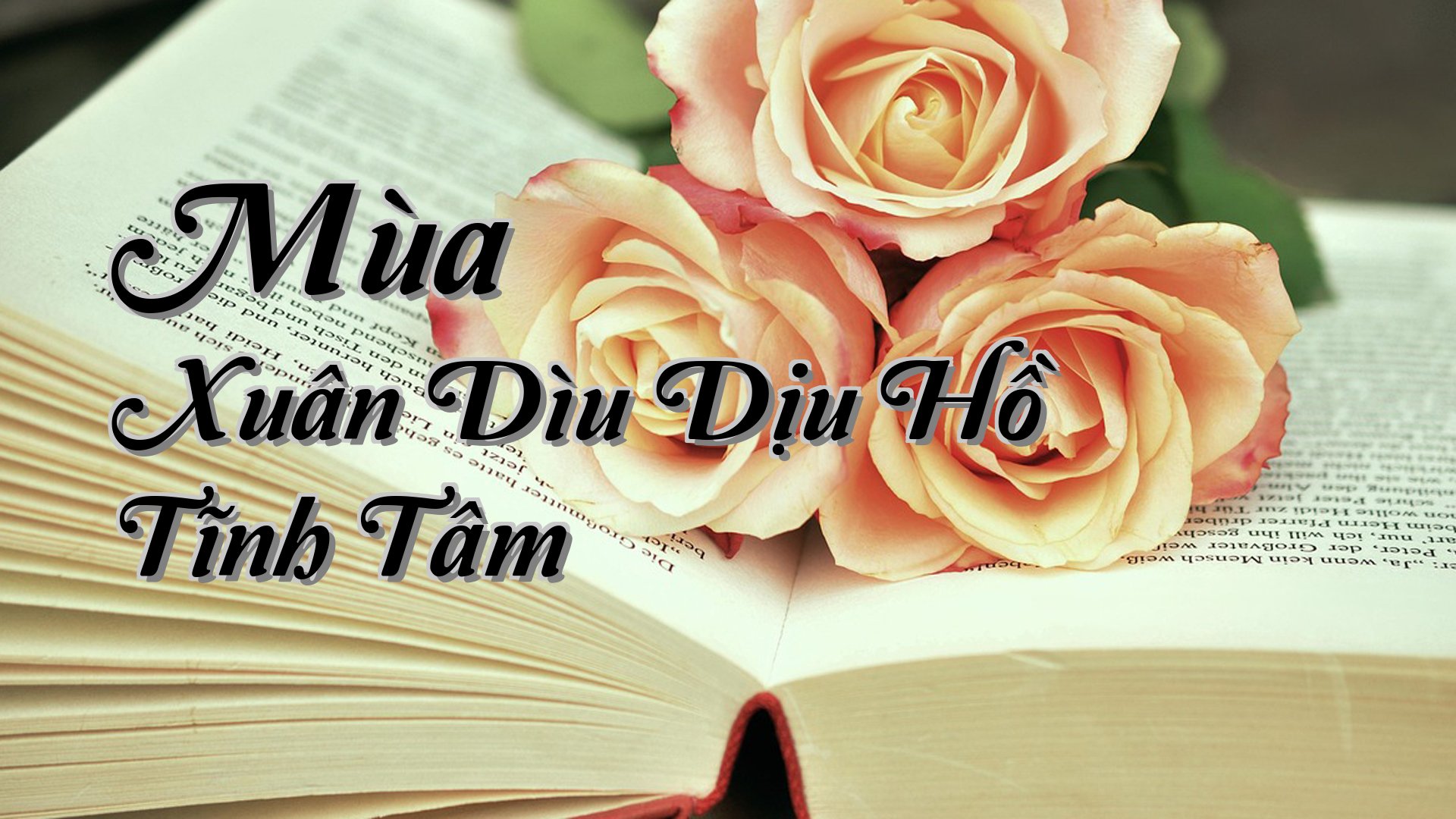 cover-Mùa Xuân Dìu Dịu Hồ Tĩnh Tâm