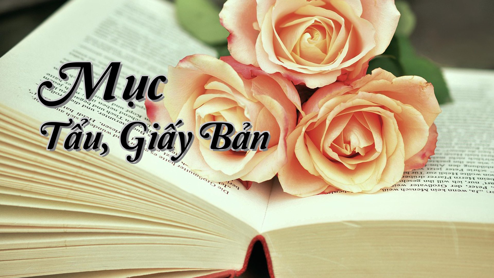 cover-Mục Tẩu, Giấy Bản