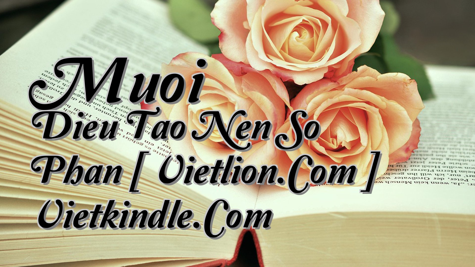 cover-Muoi Dieu Tao Nen So Phan [ Vietlion.Com ] Vietkindle.Com