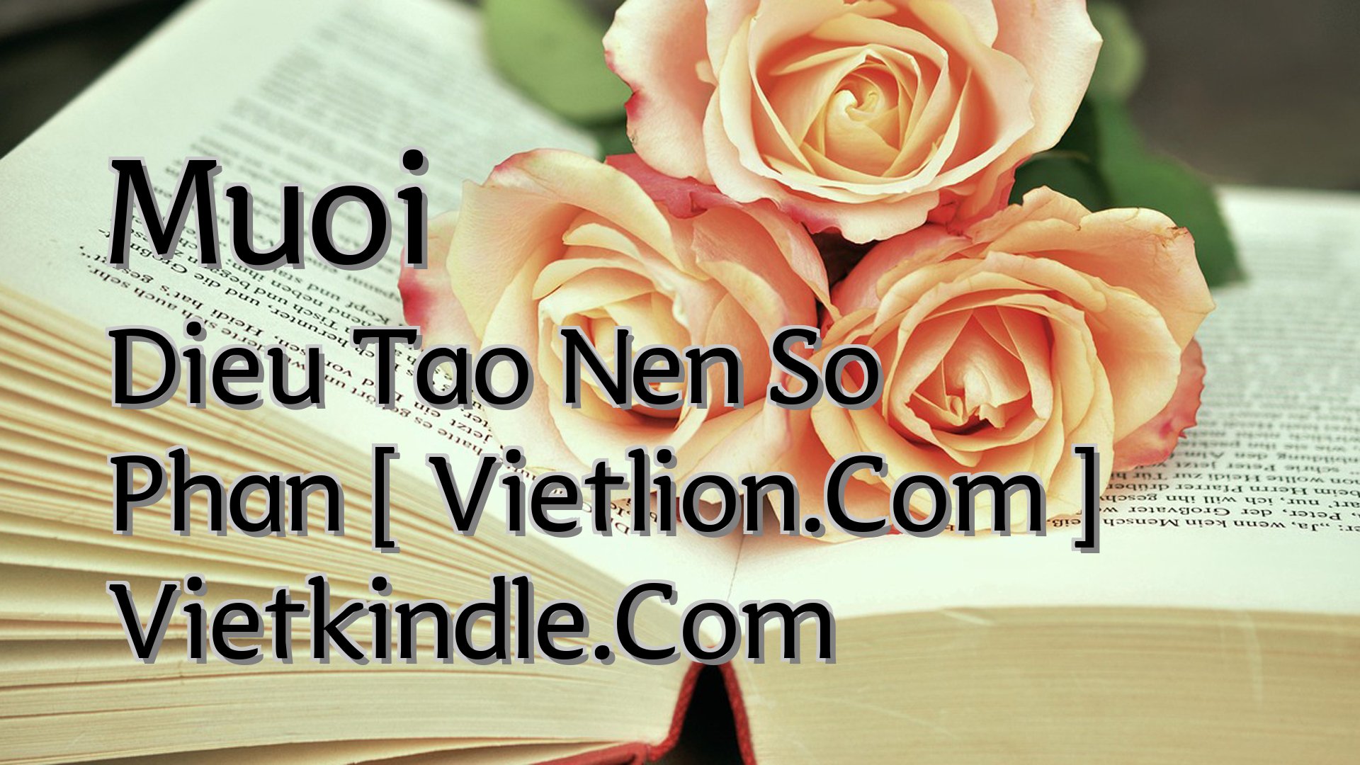 Cover image for Muoi Dieu Tao Nen So Phan [ Vietlion.Com ] Vietkindle.Com