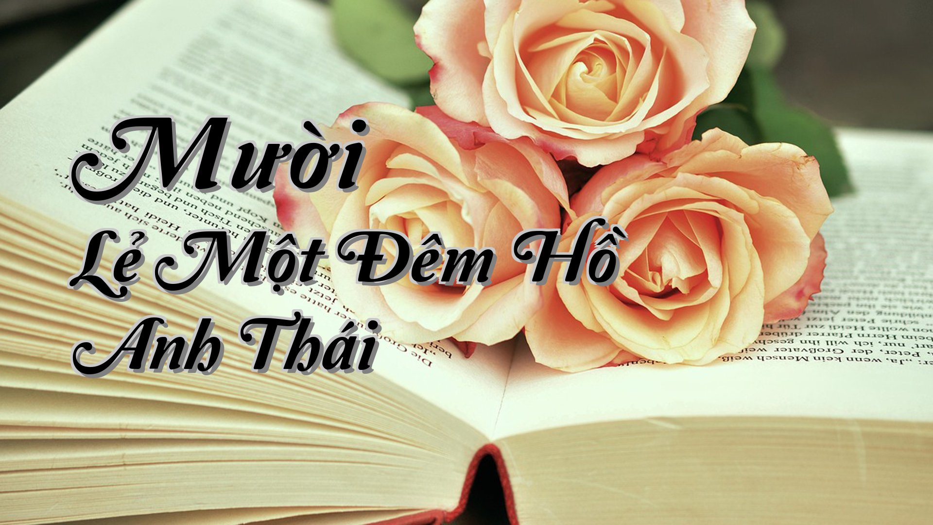 cover-Mười Lẻ Một Đêm Hồ Anh Thái