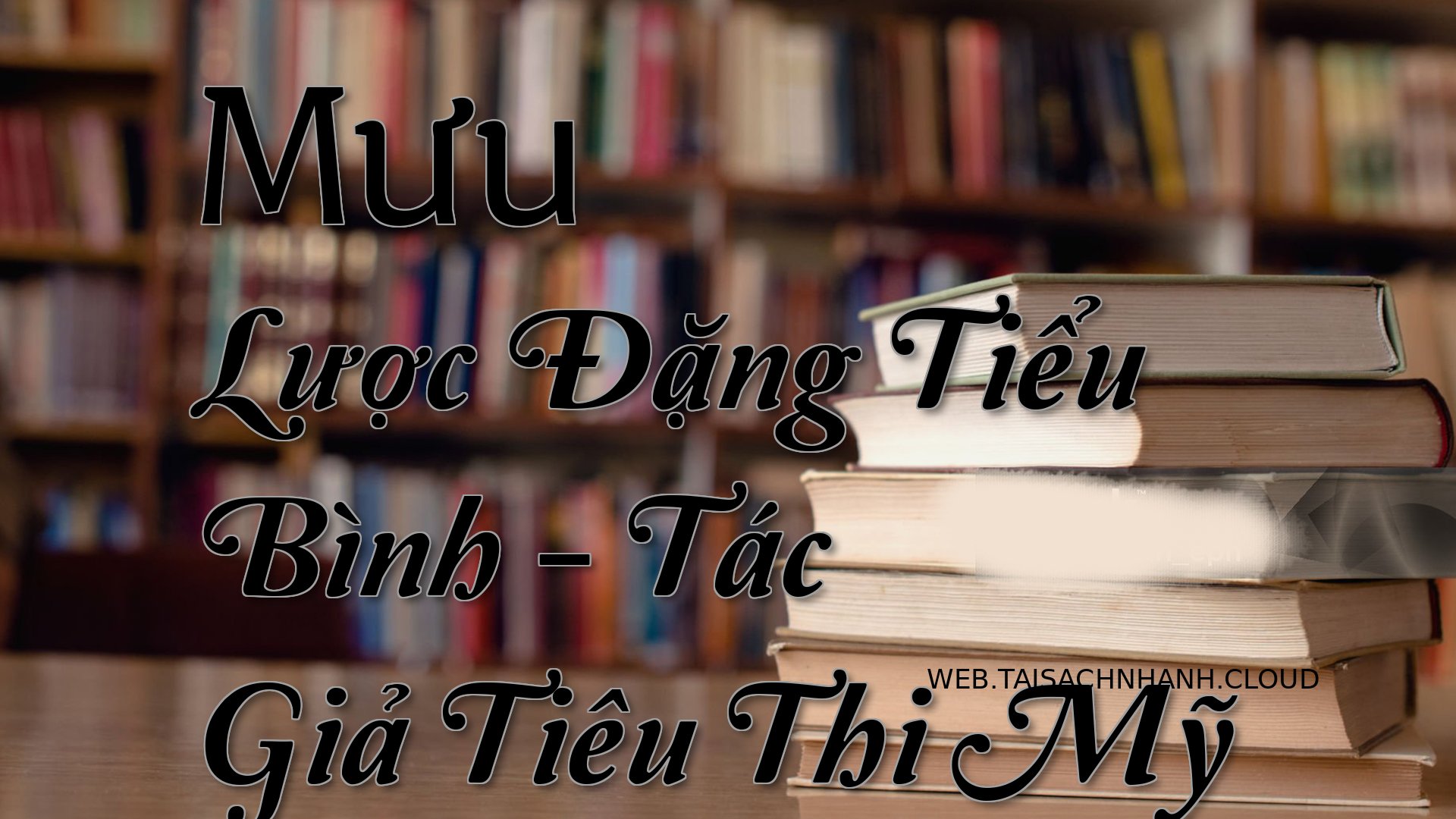 Cover Muu Luoc Dang Tieu B.jpg