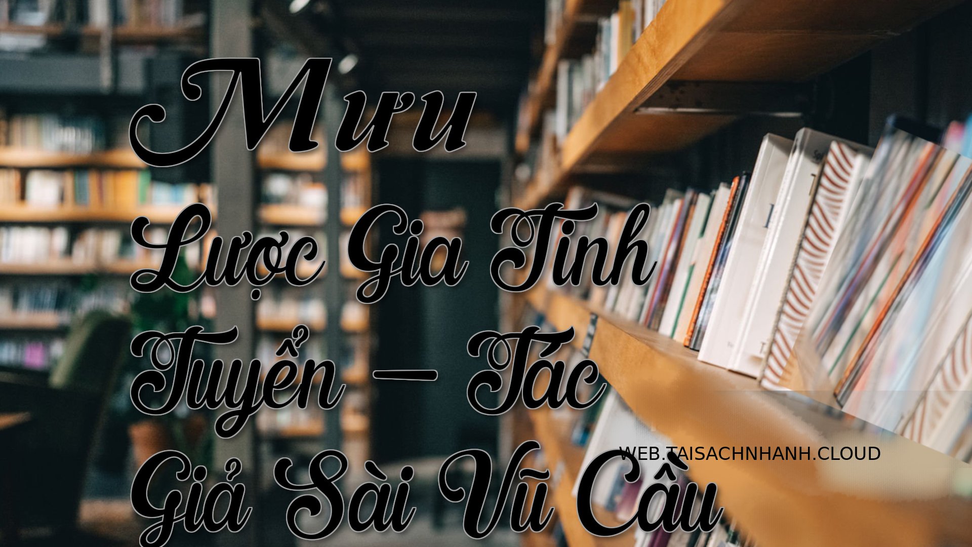 Cover Muu Luoc Gia Tinh Tu.jpg