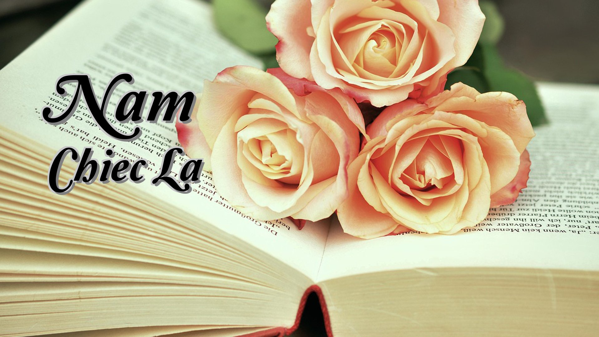cover-Nam Chiec La