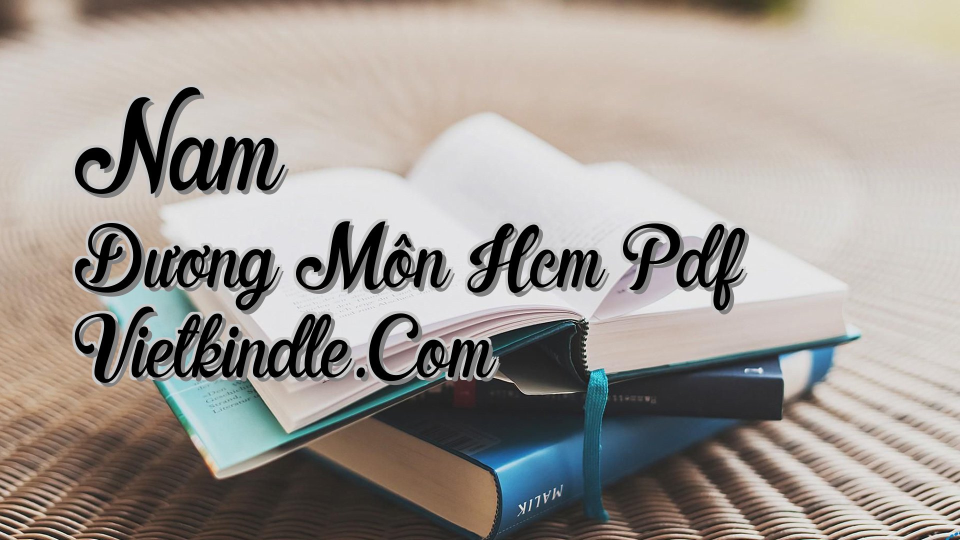 cover-Nam Dương Môn Hcm Pdf Vietkindle.Com