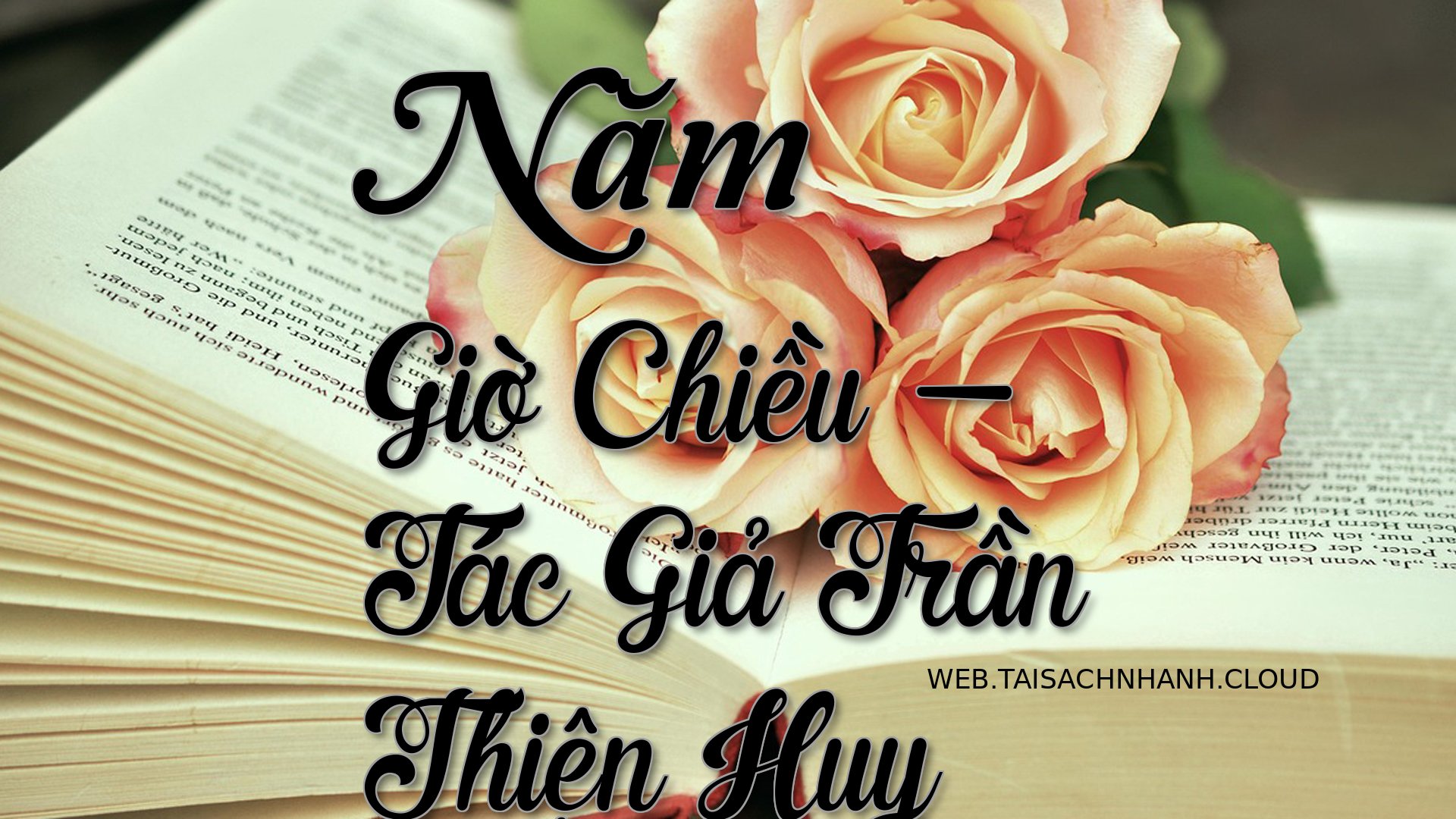 Cover Nam Gio Chieu.jpg