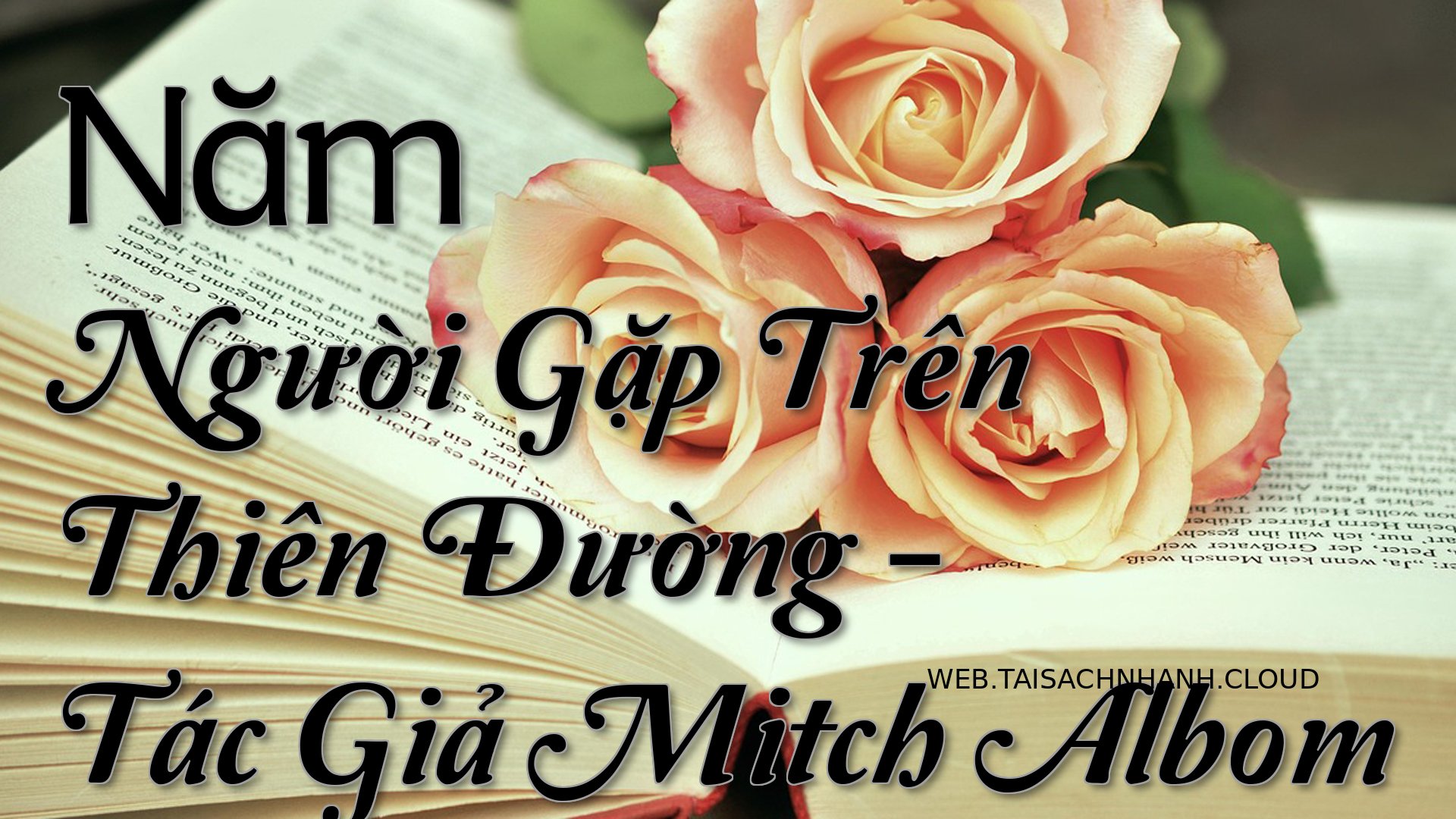 Cover Nam Nguoi Gap Tren T.jpg