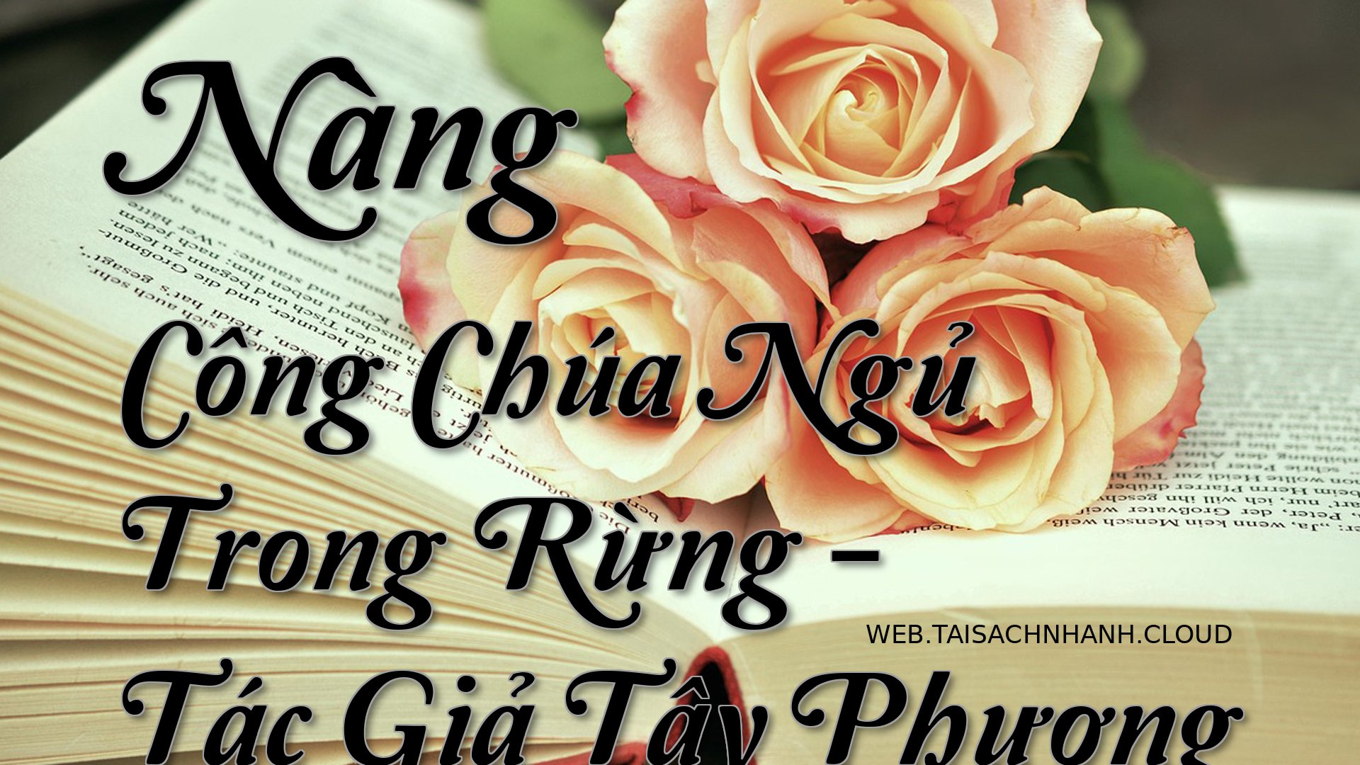 Cover Nang Cong Chua Ngu T.jpg