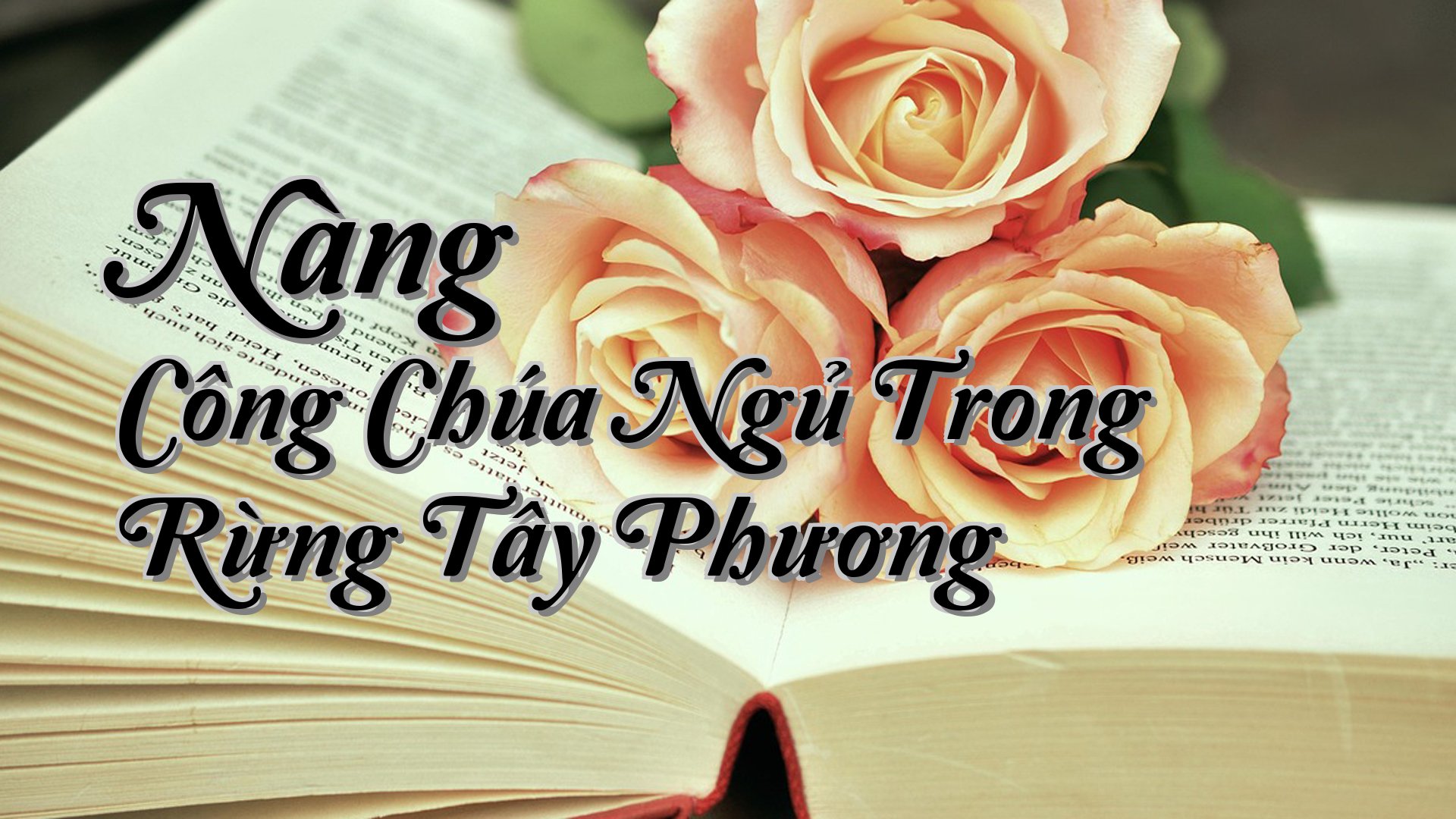 cover-Nàng Công Chúa Ngủ Trong Rừng Tây Phương