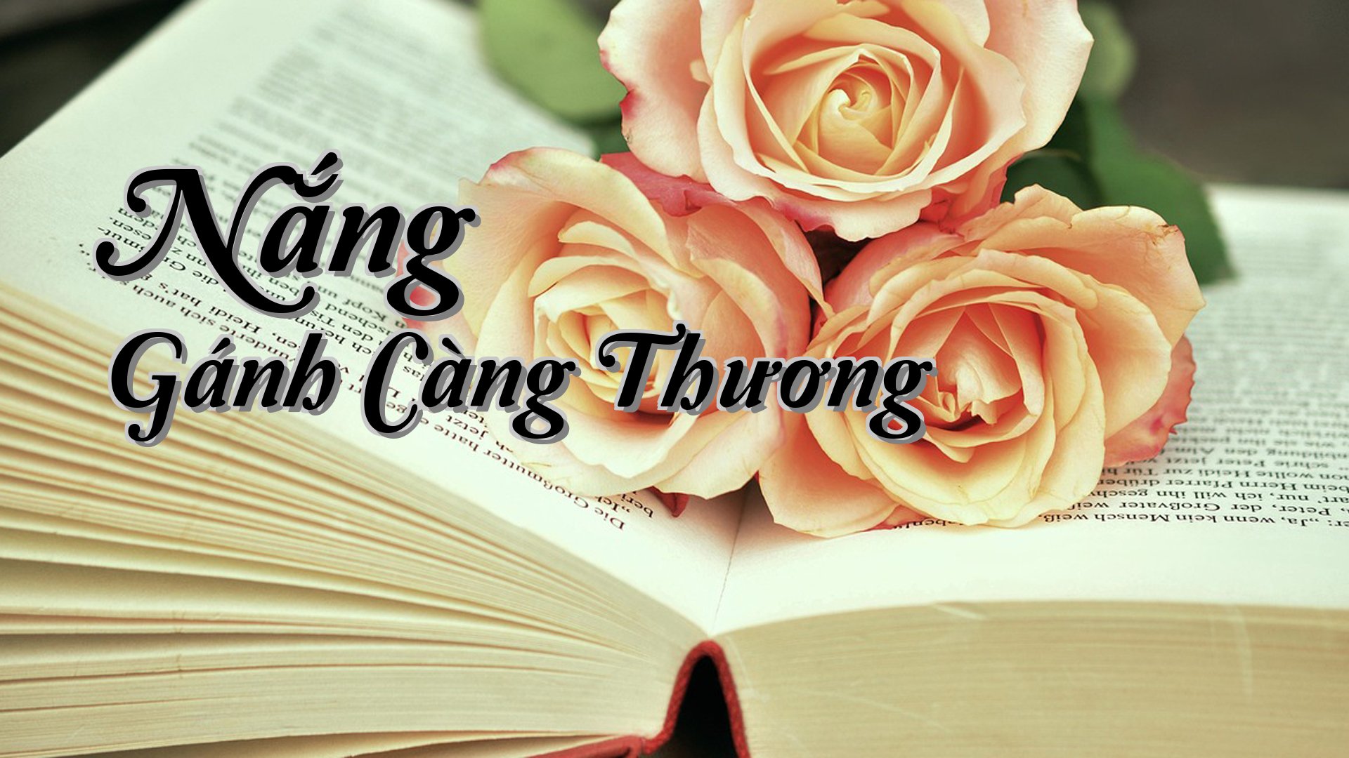 cover-Nắng Gánh Càng Thương