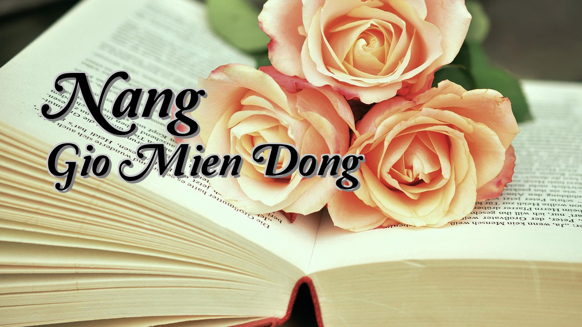 Cover image for Nang Gio Mien Dong